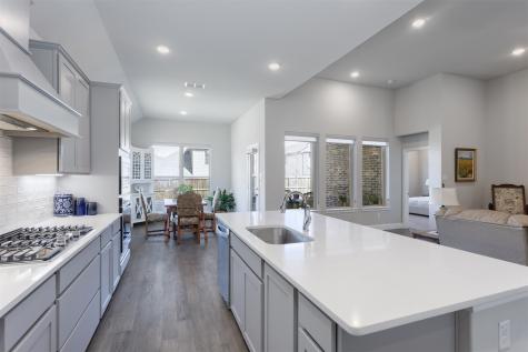 1112 Diamond Dove Drive Little Elm TX 75068