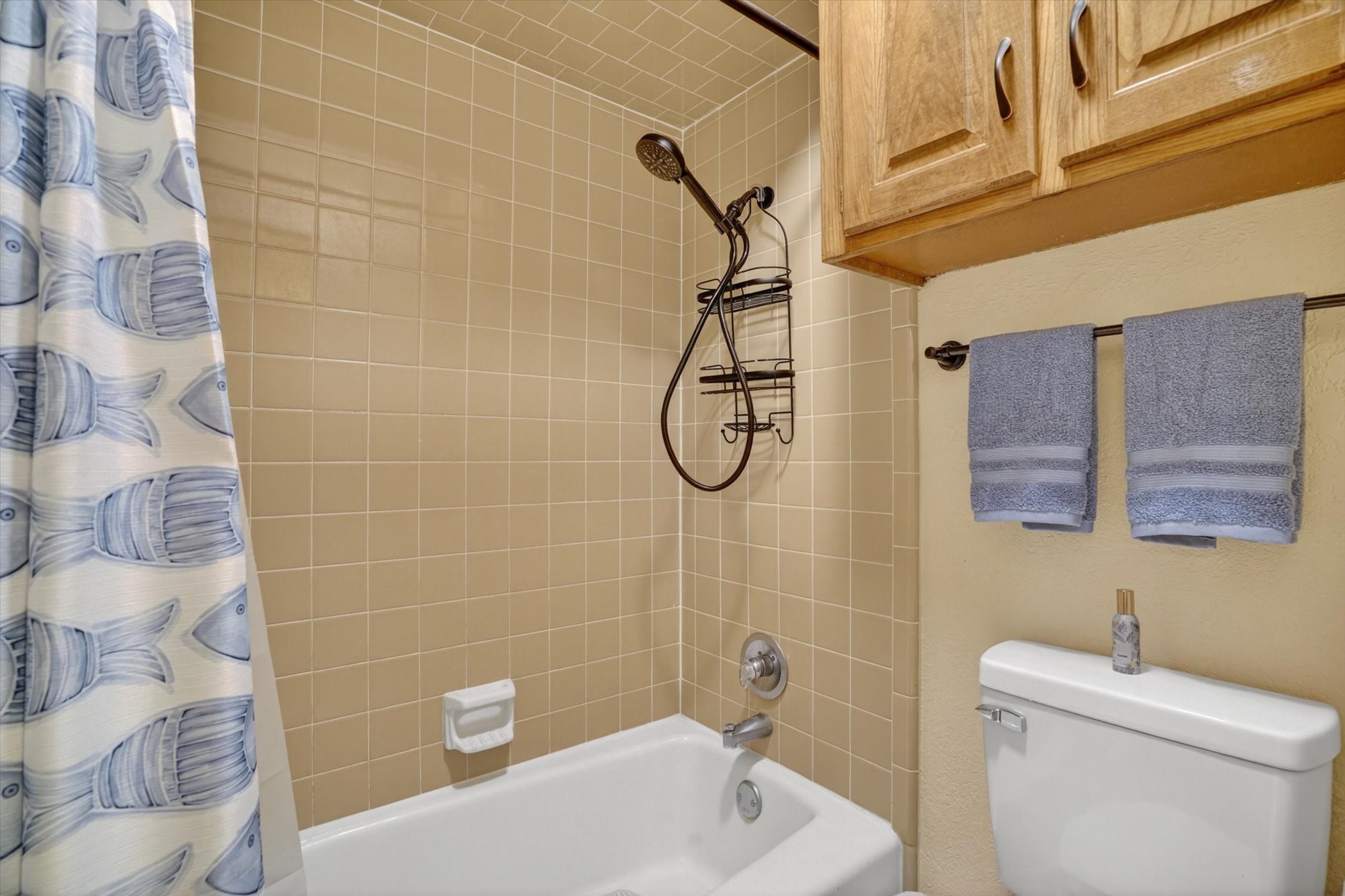 4204 Chaparral Court Granbury TX 76049