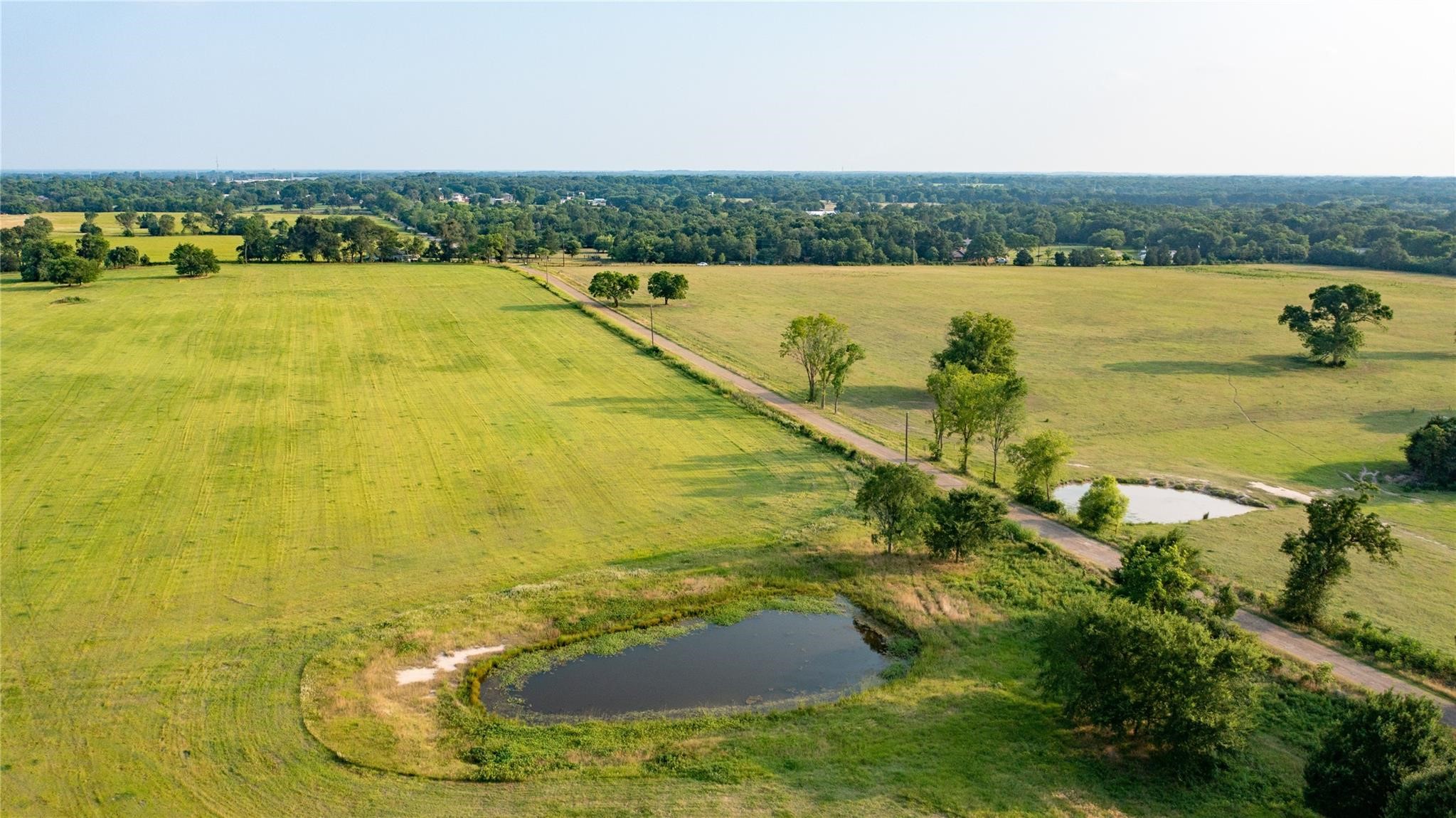 12301 N Holland Street Eustace TX 75124