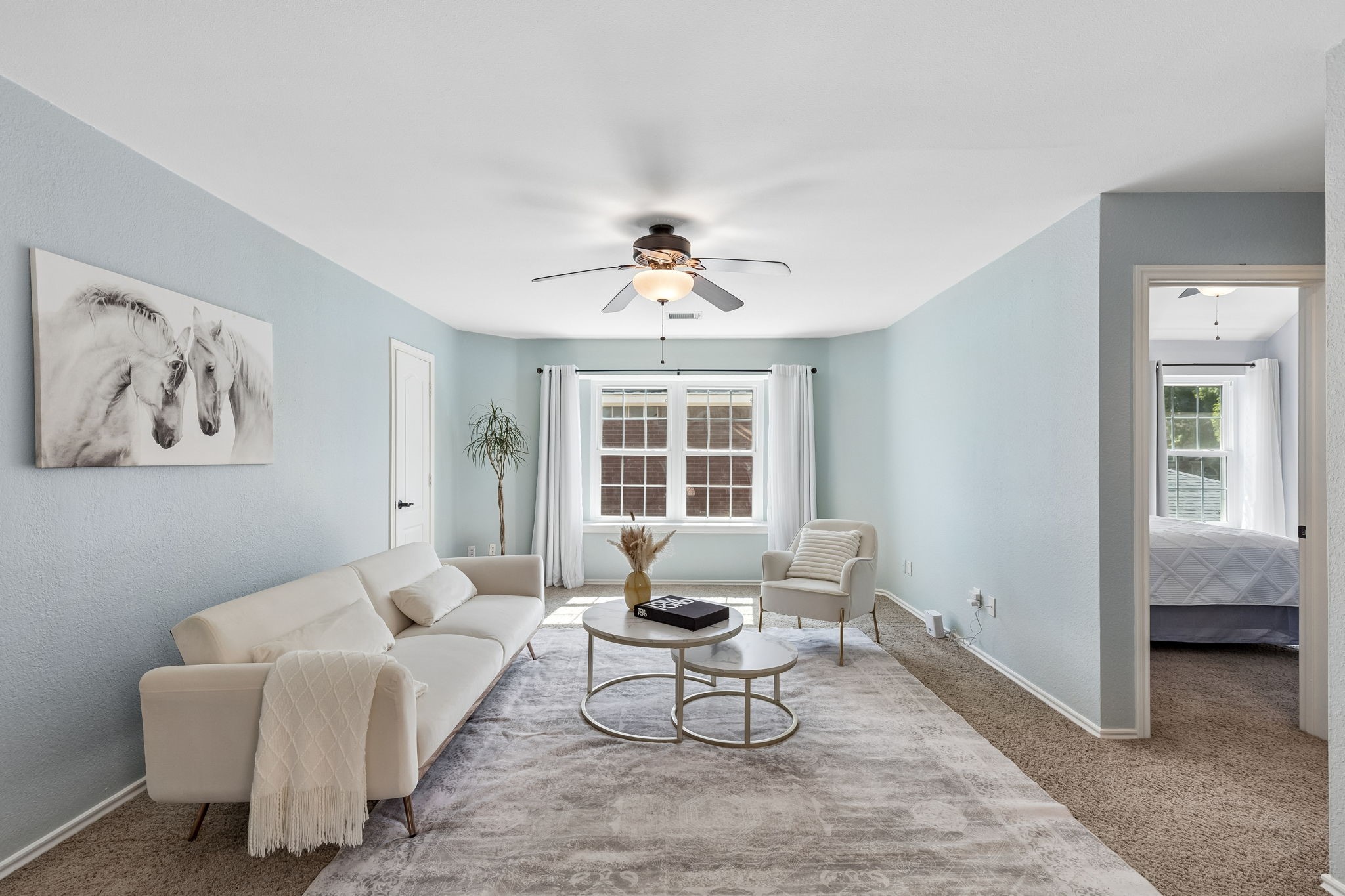 1733 Steamboat Drive Plano TX 75025