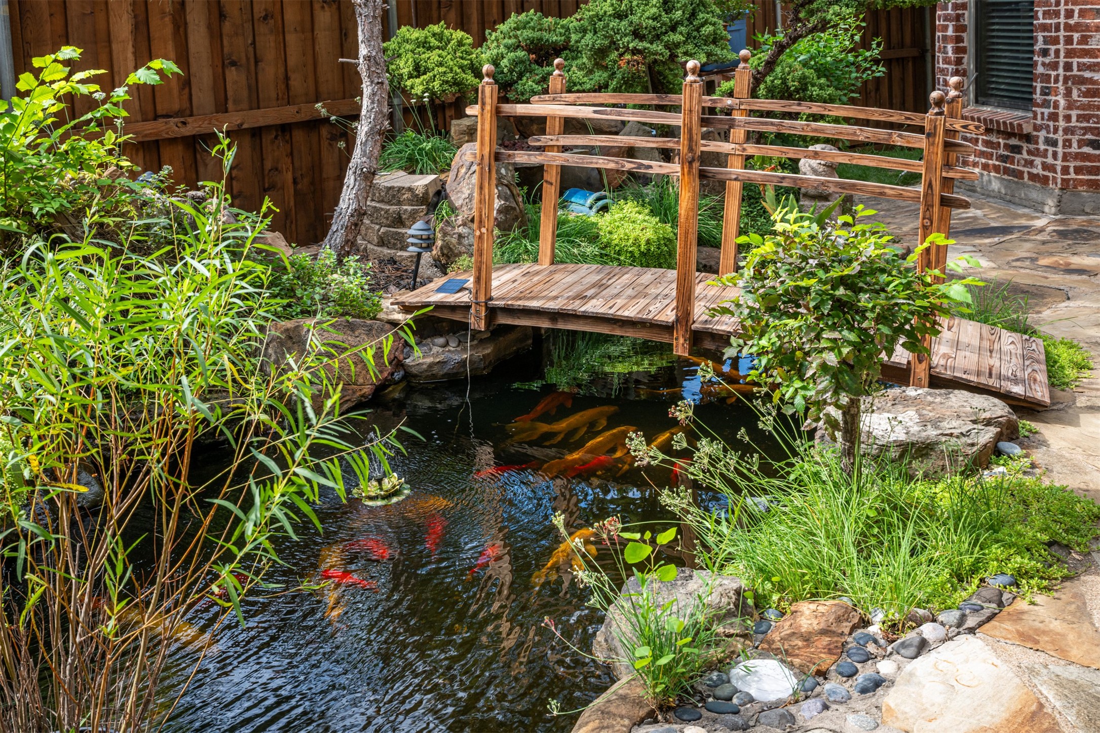 920 White River Drive Allen TX 75013