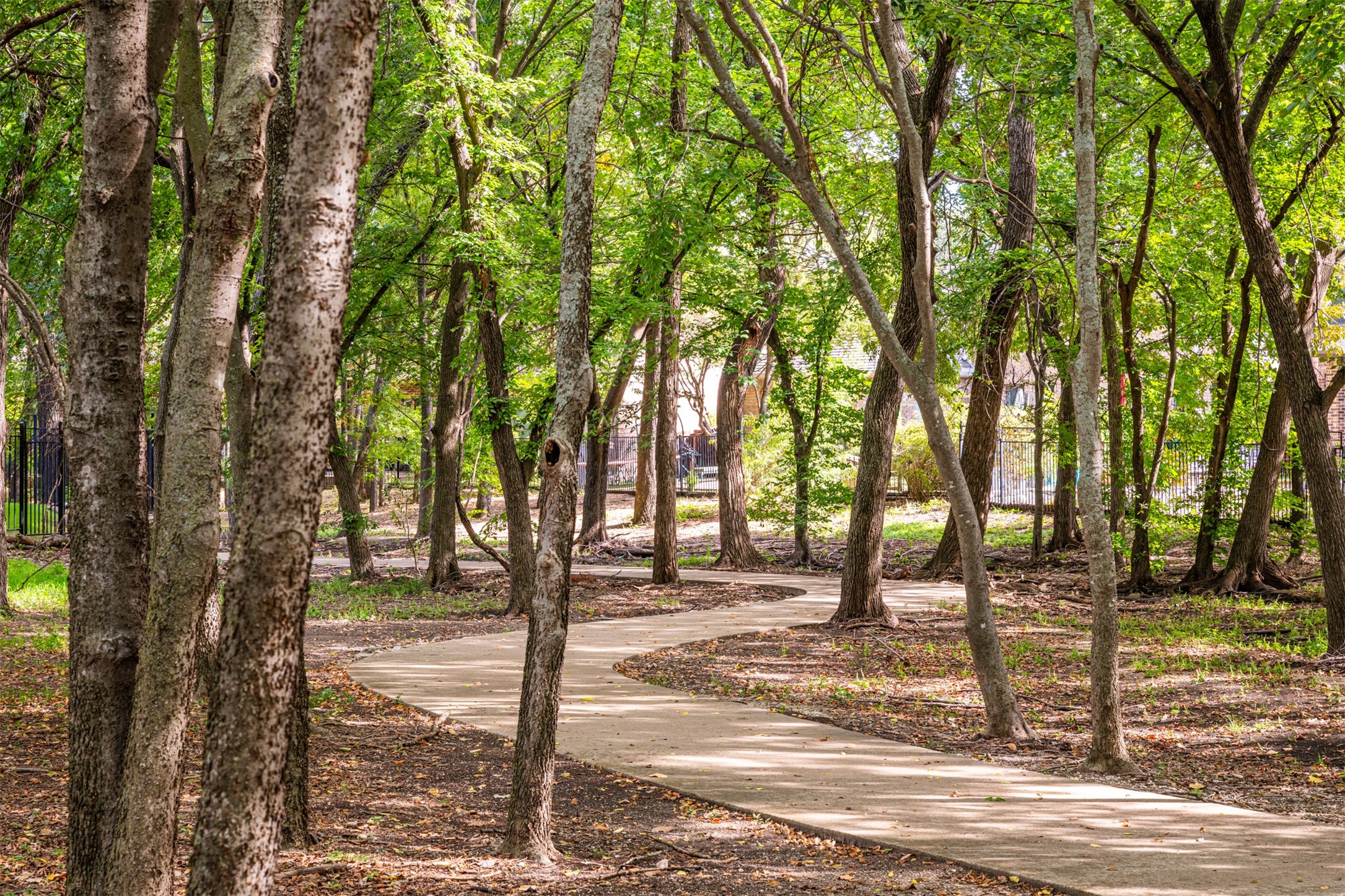 920 White River Drive Allen TX 75013