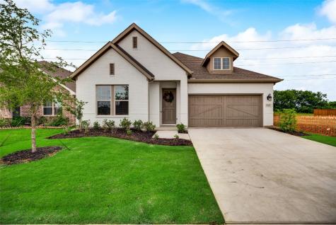 312 Moonvine Drive Little Elm TX 75068