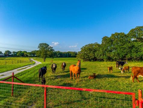 141 County Road 4793 Boyd TX 76023