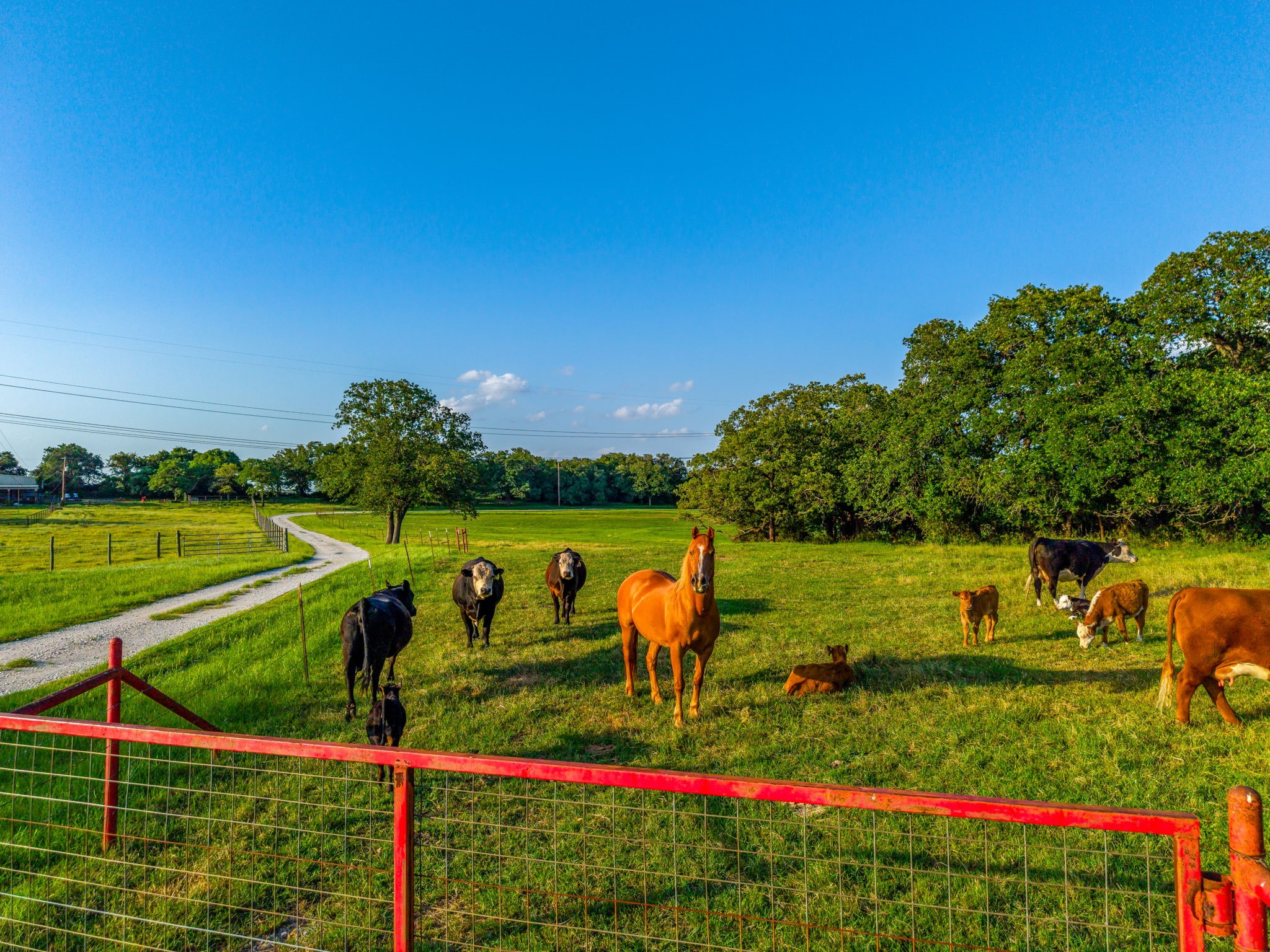 141 County Road 4793 Boyd TX 76023