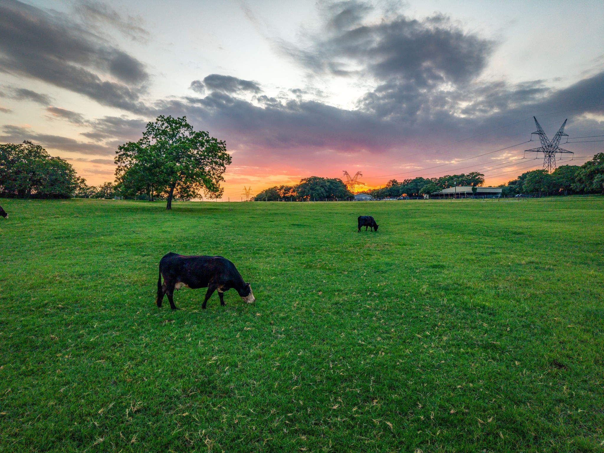141 County Road 4793 Boyd TX 76023