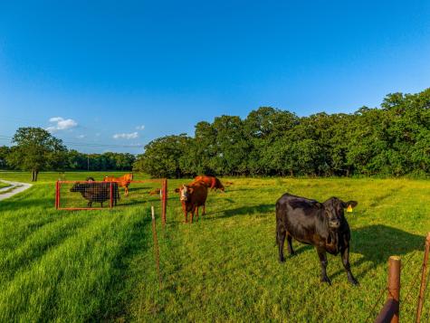 141 County Road 4793 Boyd TX 76023