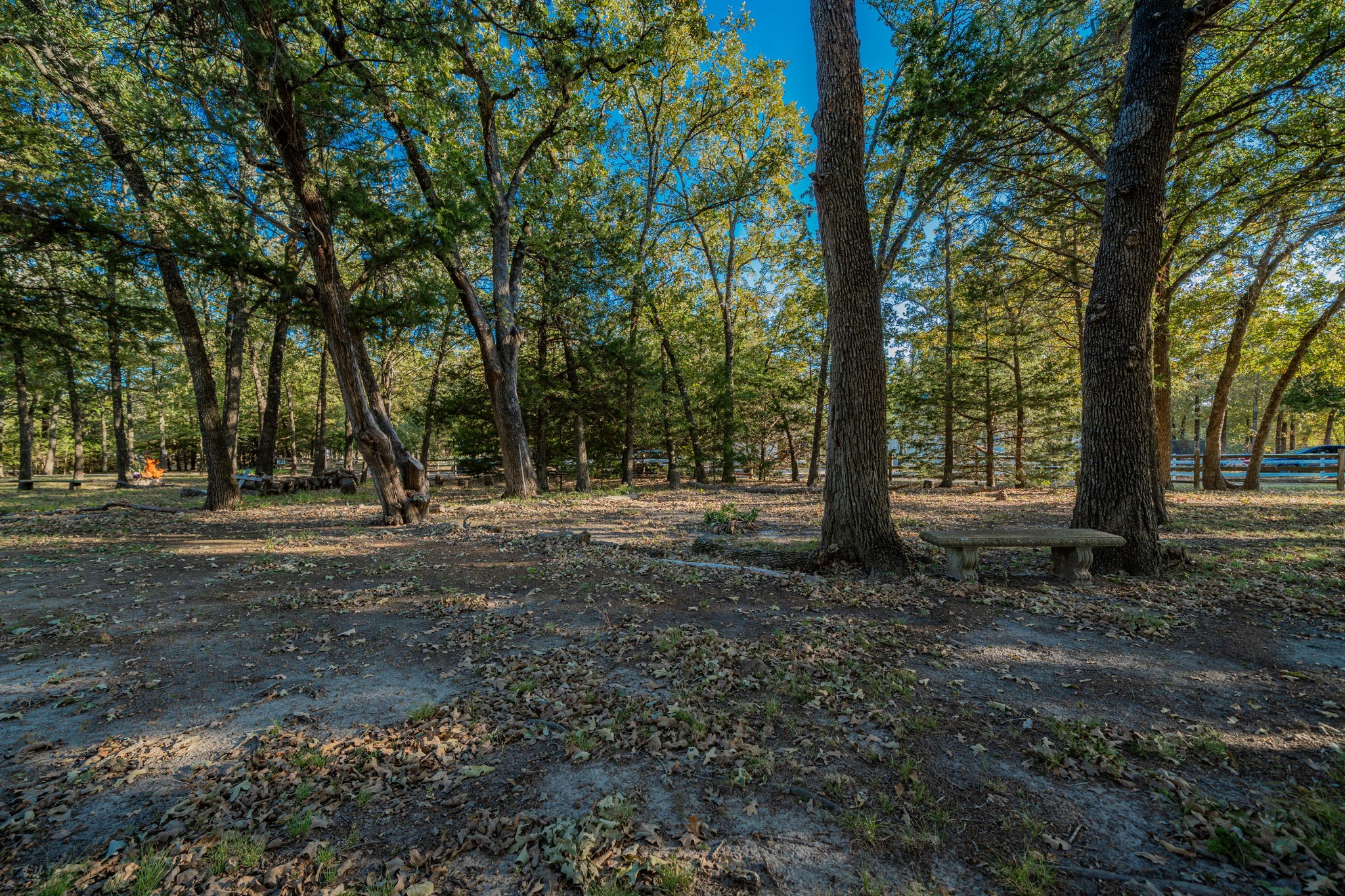 181 Vz County Road 3528 Wills Point TX 75169