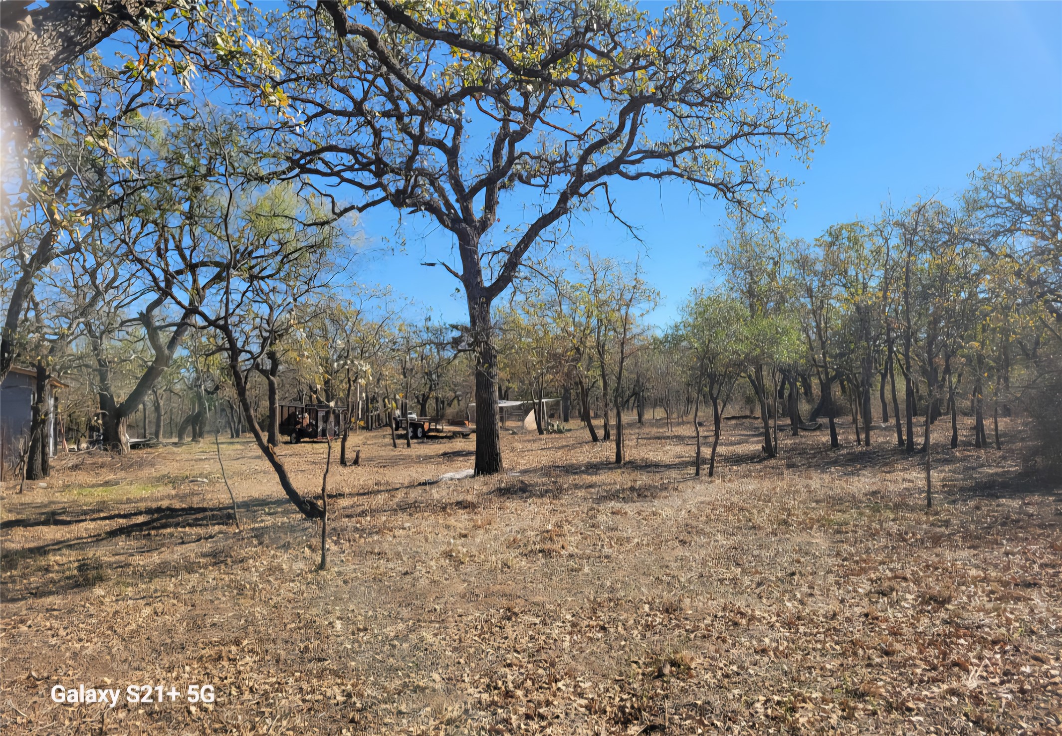 509 County Road 143 Bangs TX 76823