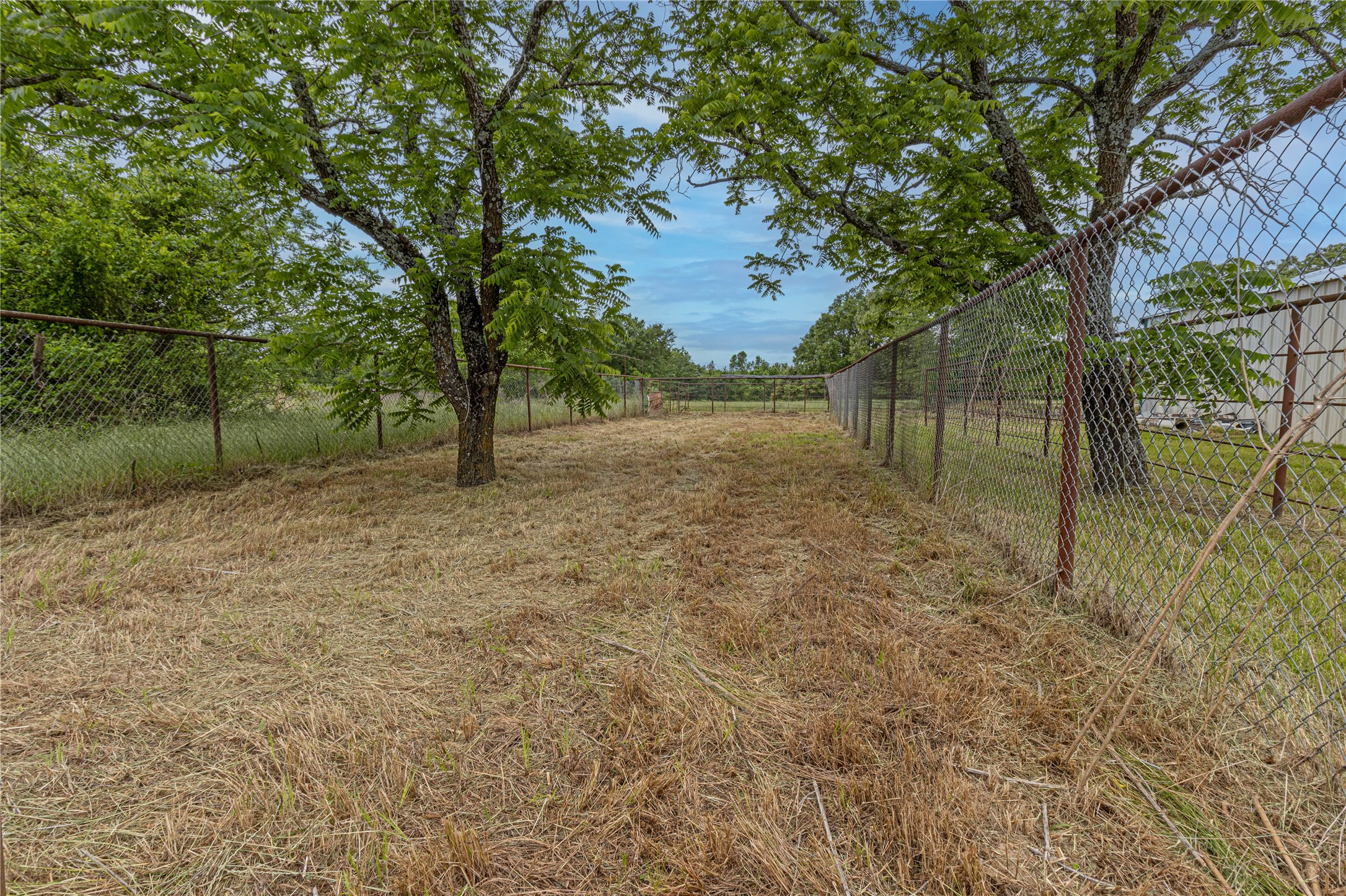 3040 Fm 1861 Ben Wheeler TX 75754