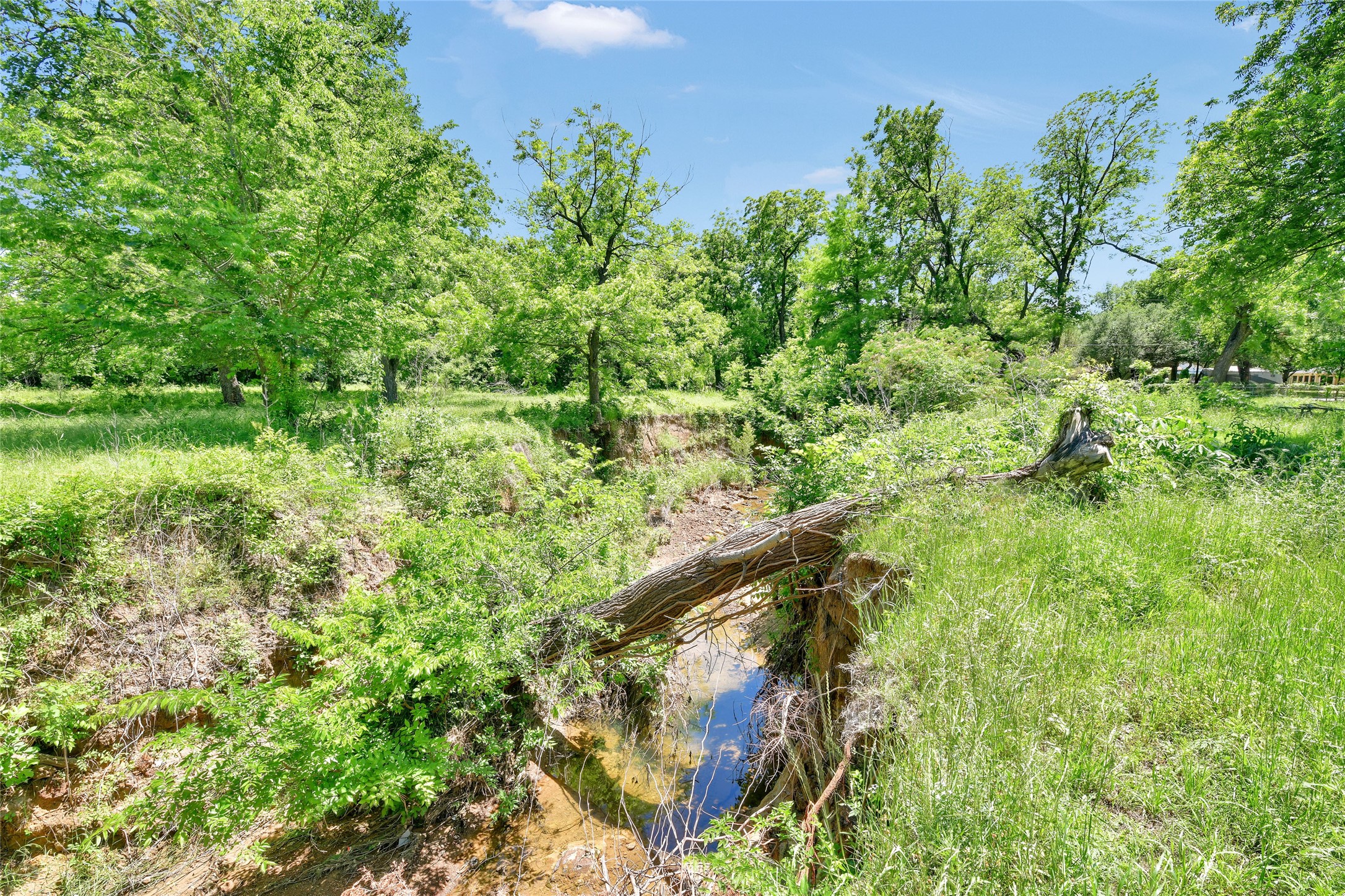 5313 Hidden Oaks Lane Arlington TX 76017