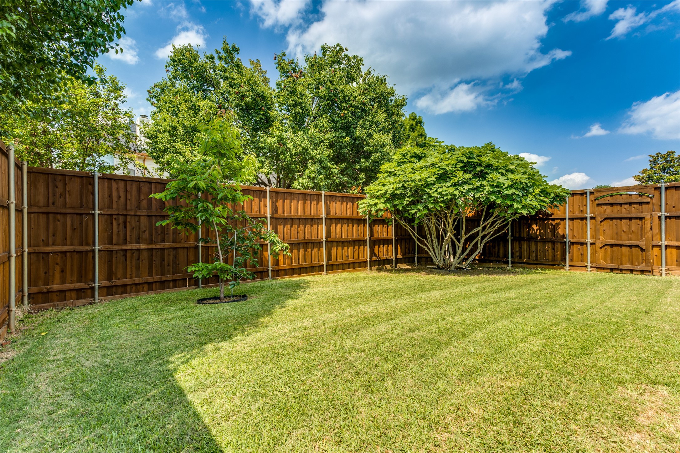 3517 Matagorda Springs Drive Plano TX 75025