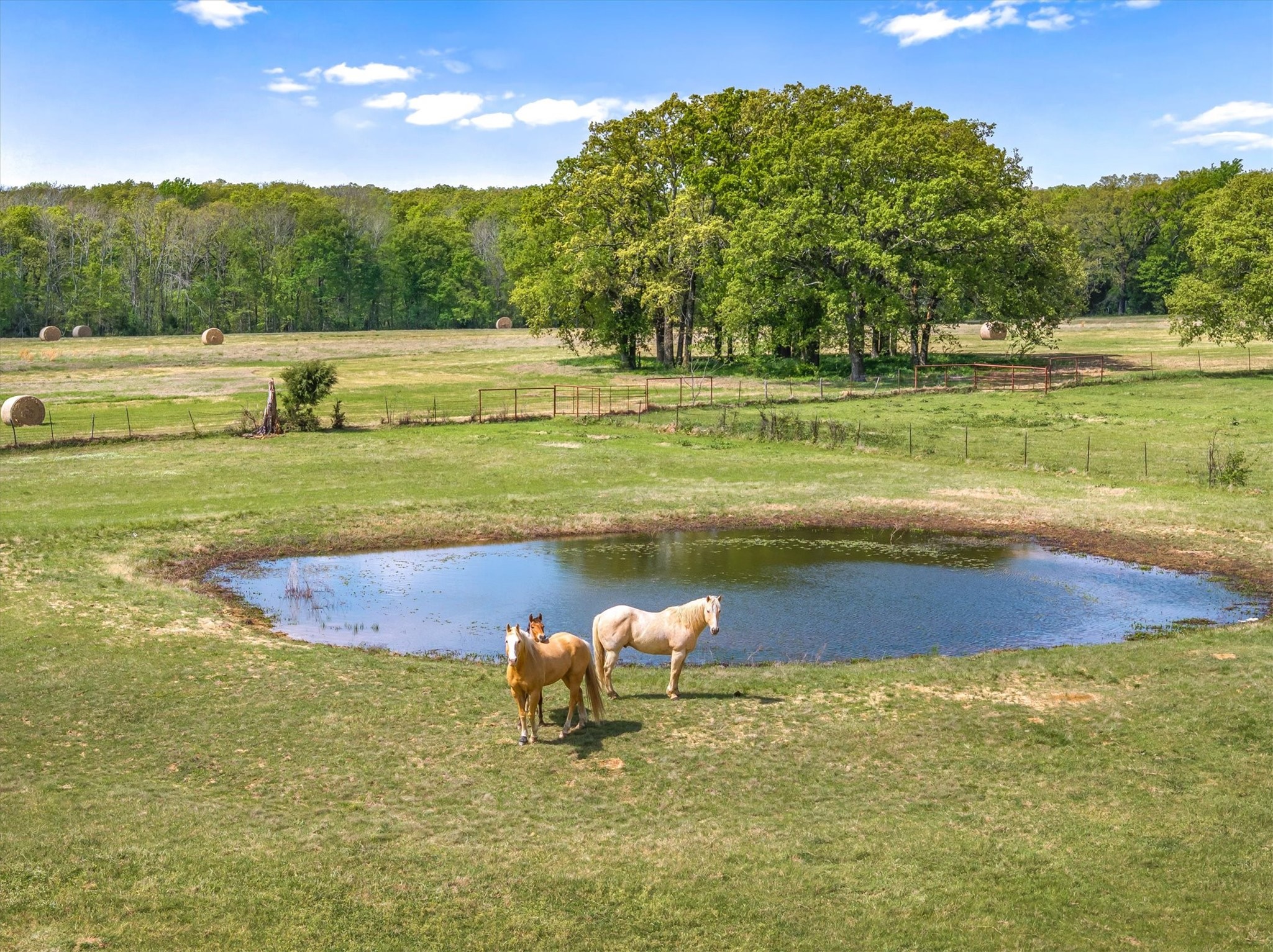 260 Vz County Road 3531 Edgewood TX 75117