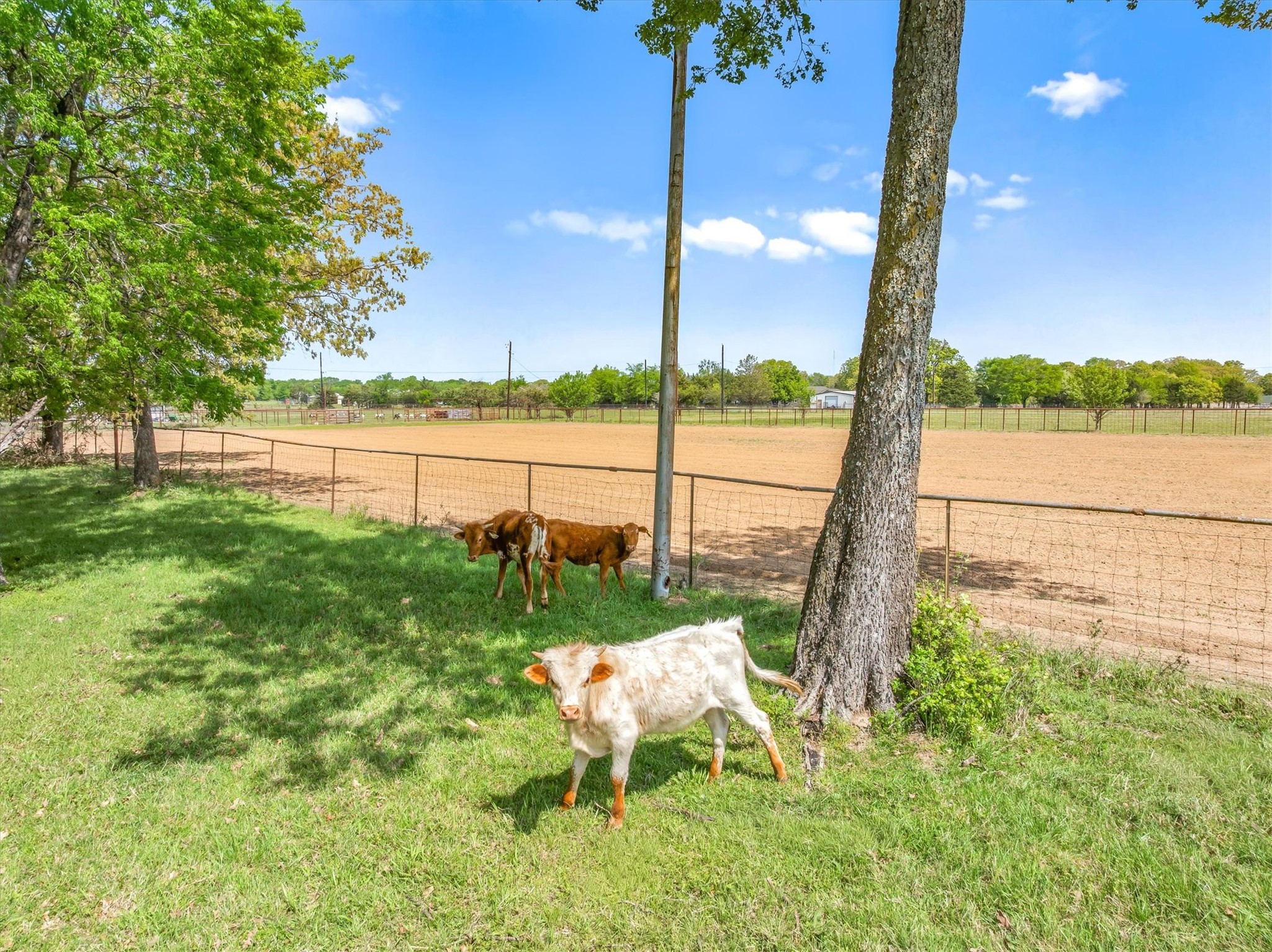 260 Vz County Road 3531 Edgewood TX 75117