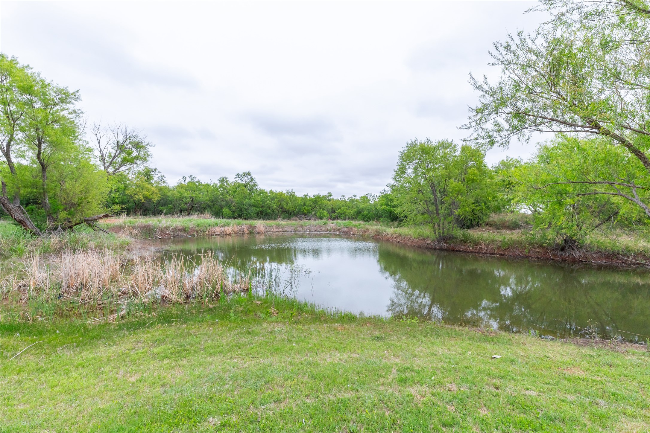 2366 Fm 1235 Merkel TX 79536