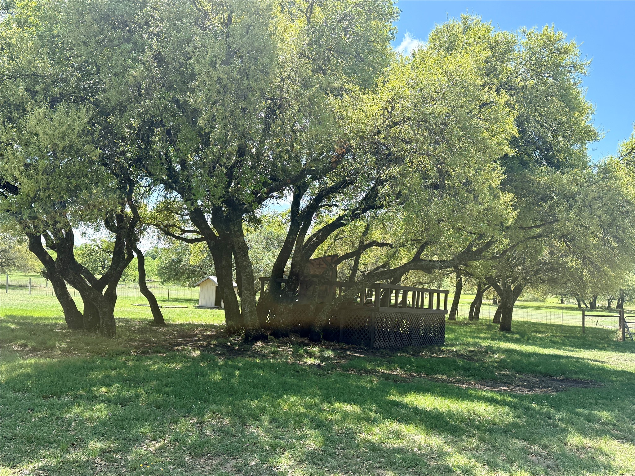 4730 Fm 1467 May TX 76857