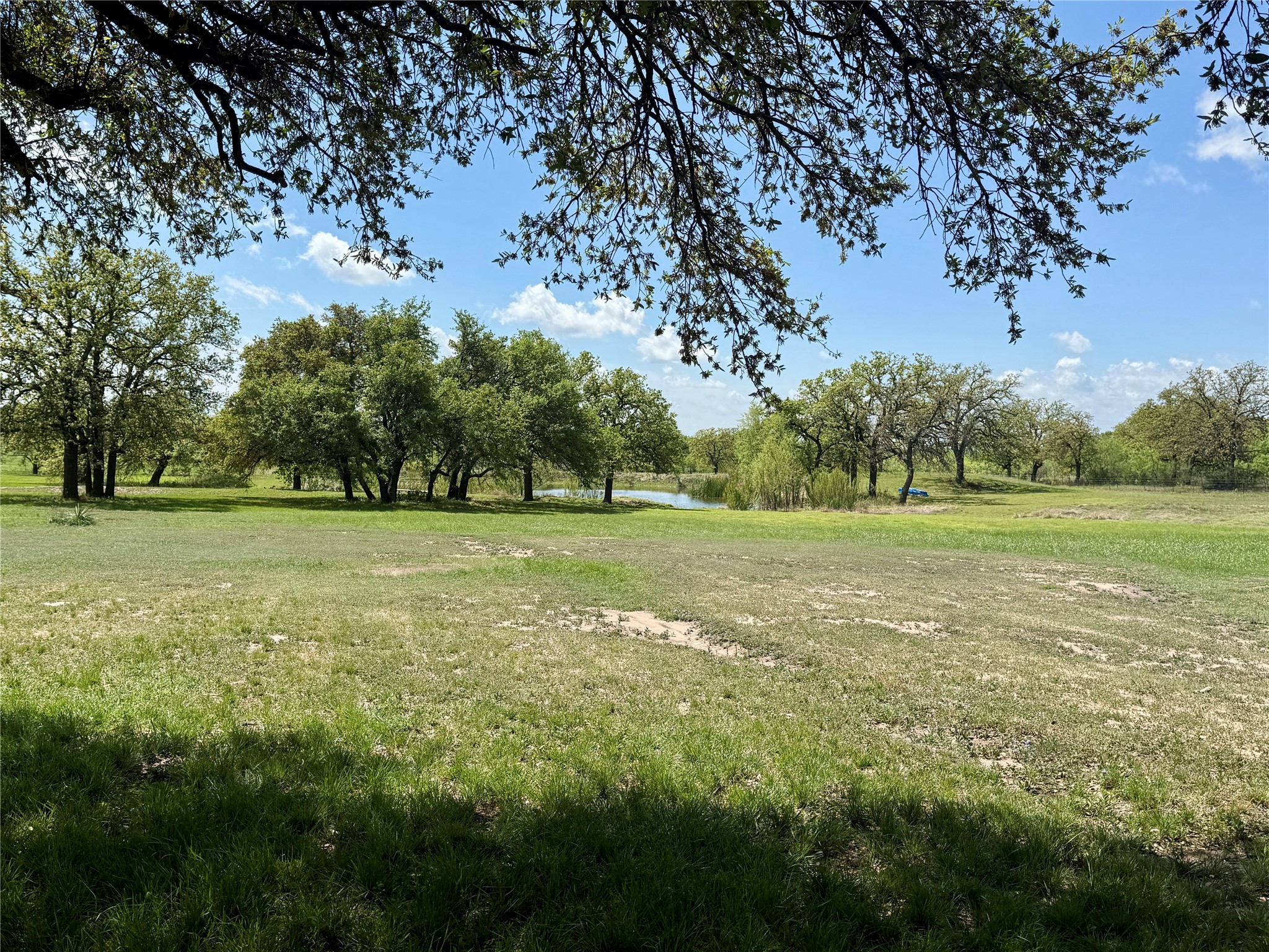 4730 Fm 1467 May TX 76857