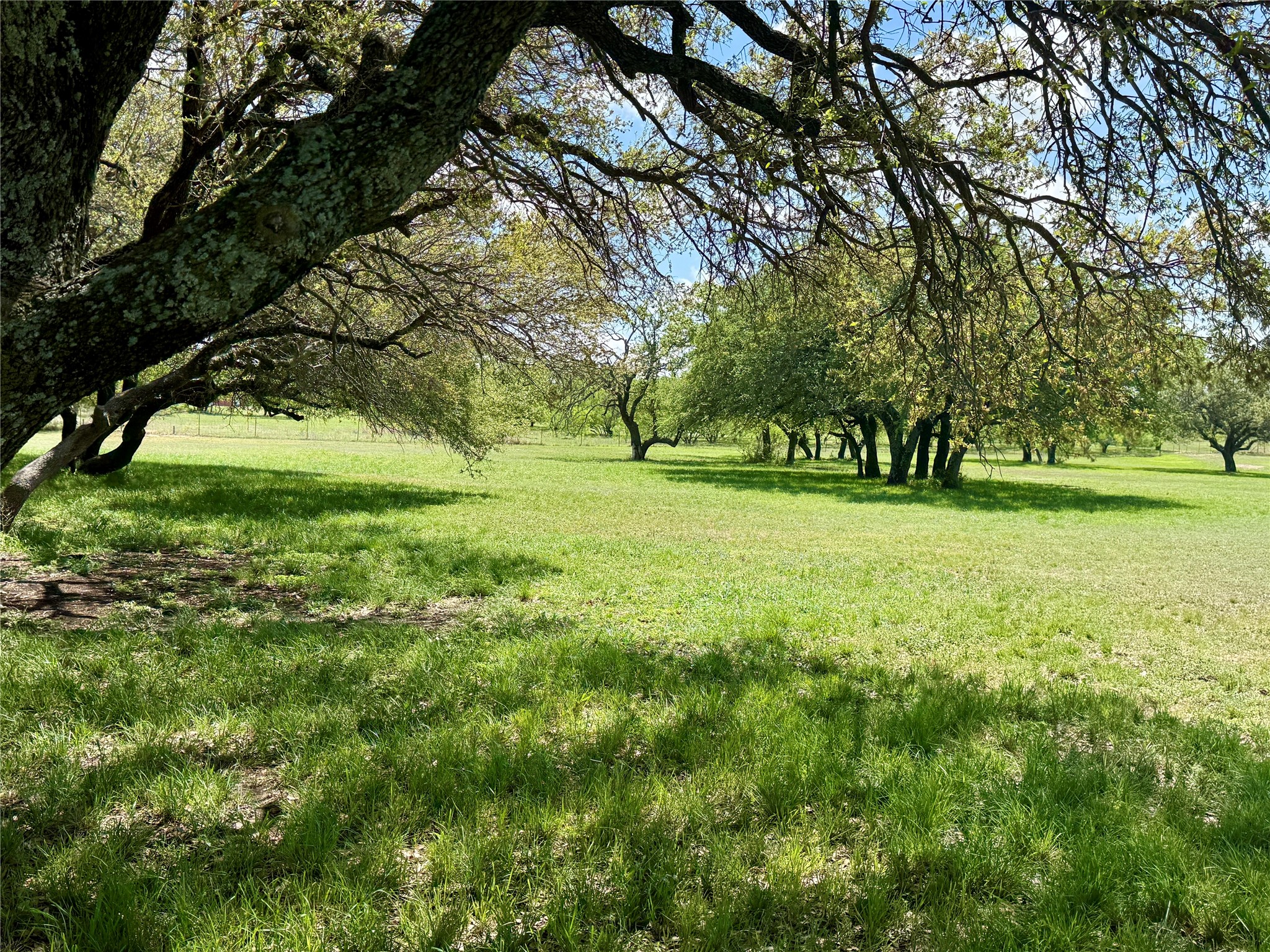 4730 Fm 1467 May TX 76857