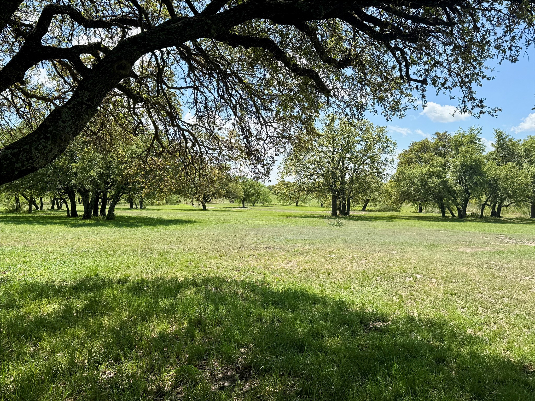 4730 Fm 1467 May TX 76857