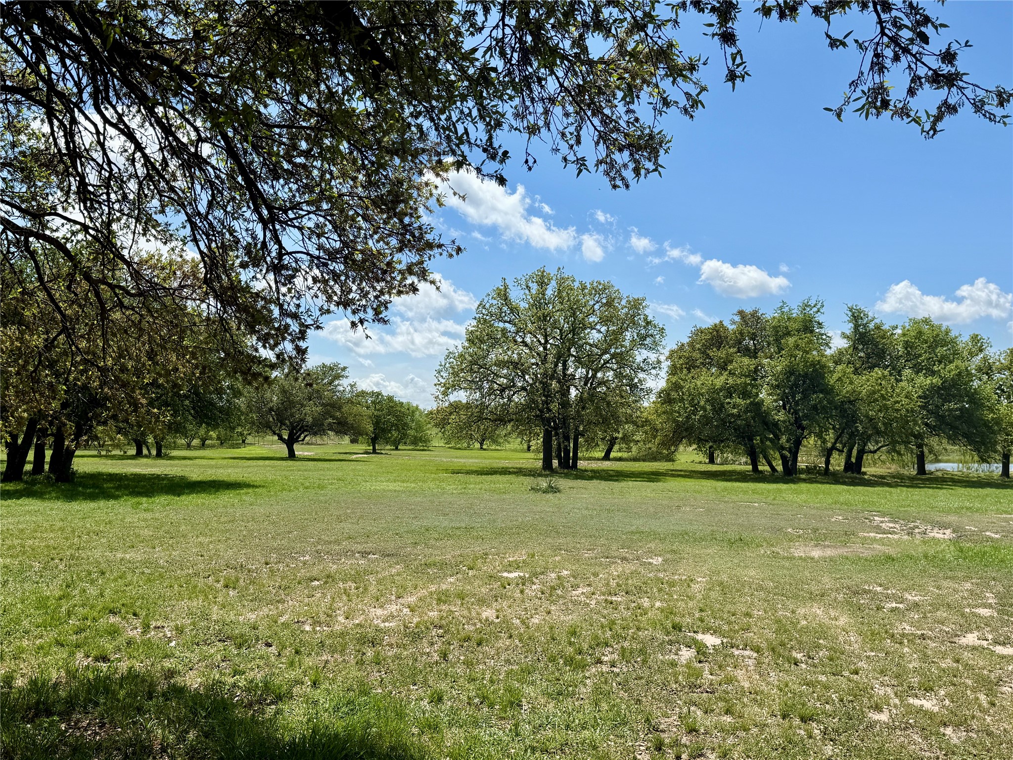4730 Fm 1467 May TX 76857