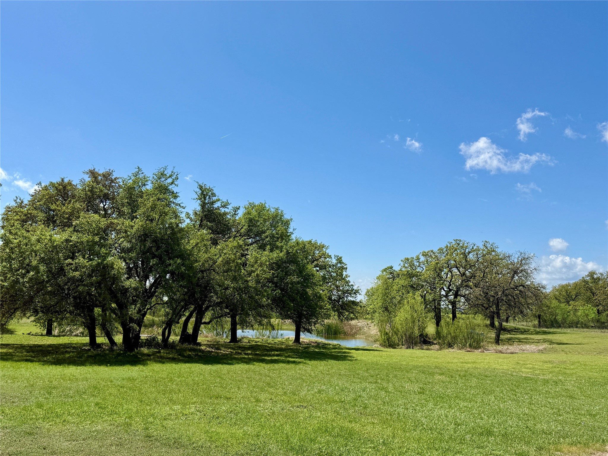 4730 Fm 1467 May TX 76857