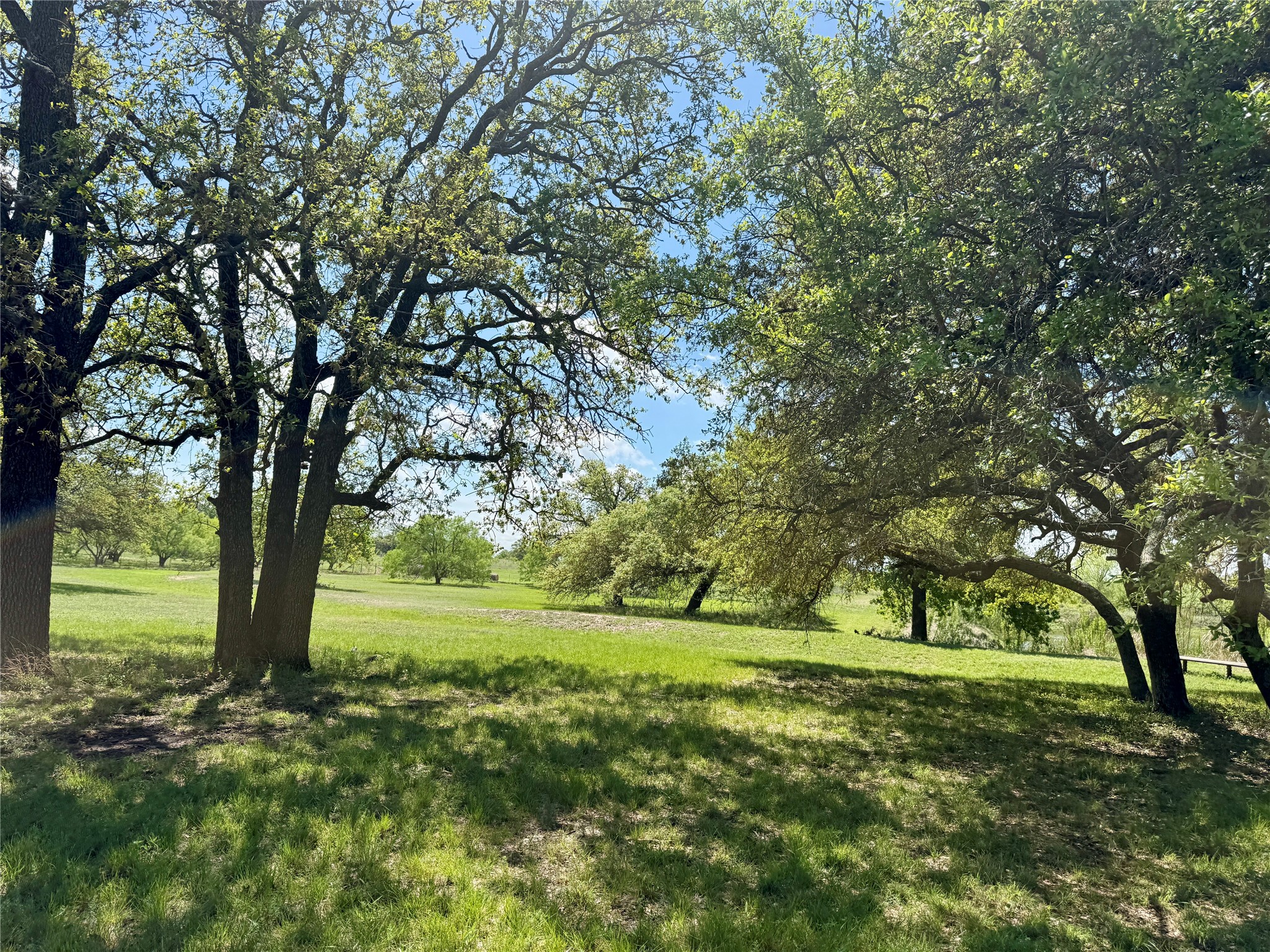 4730 Fm 1467 May TX 76857
