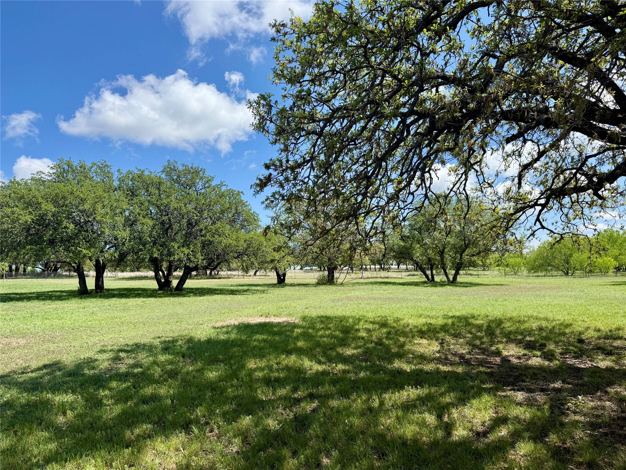 4730 Fm 1467 May TX 76857