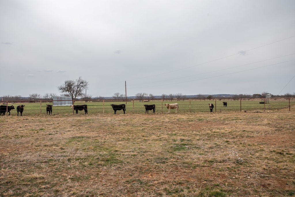 7600 S State Highway 6 Albany TX 76430