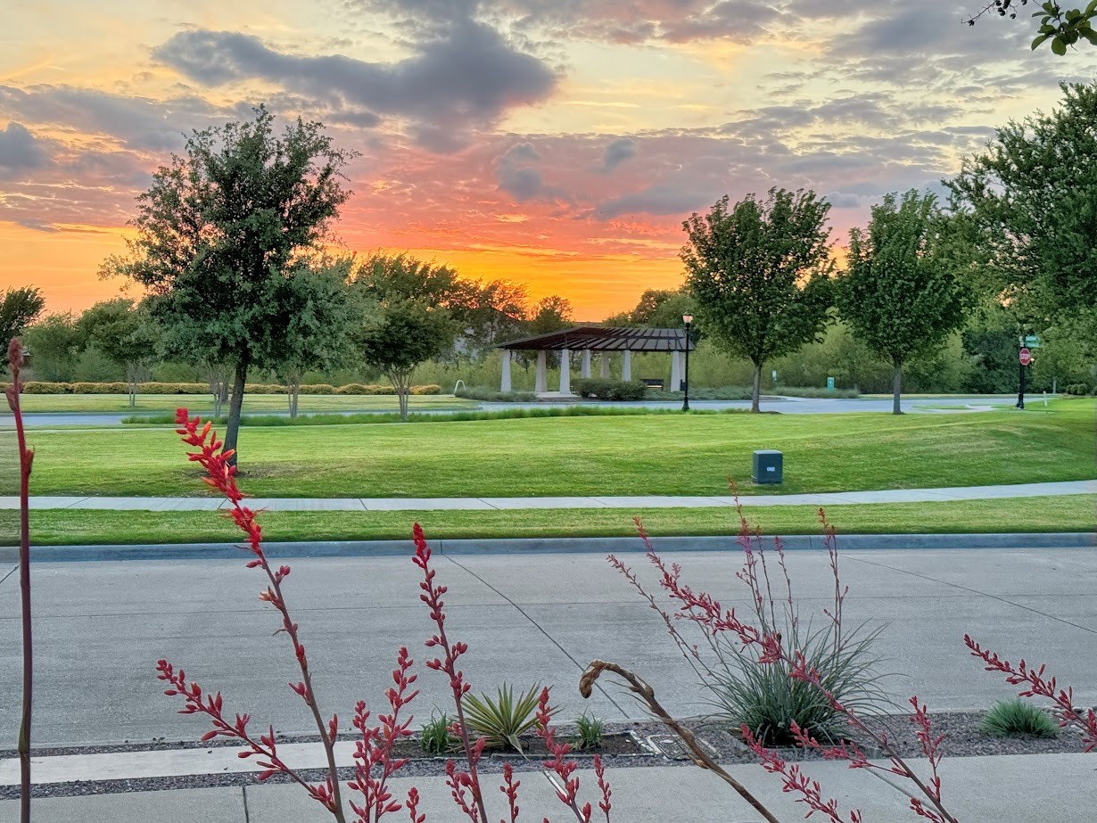 4428 Sunflower Lane Celina TX 75078