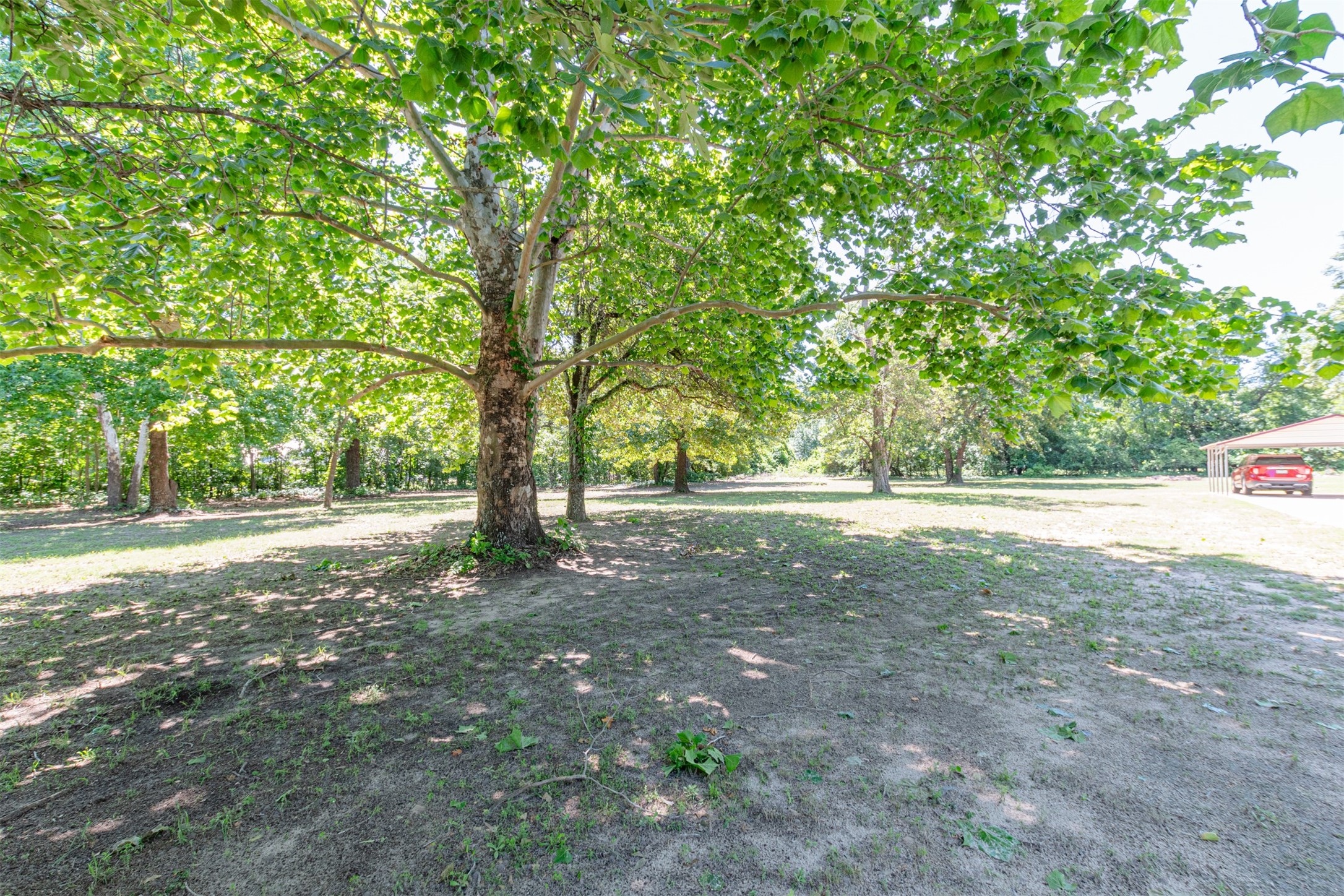 420 Rs County Road 3210 Emory TX 75440