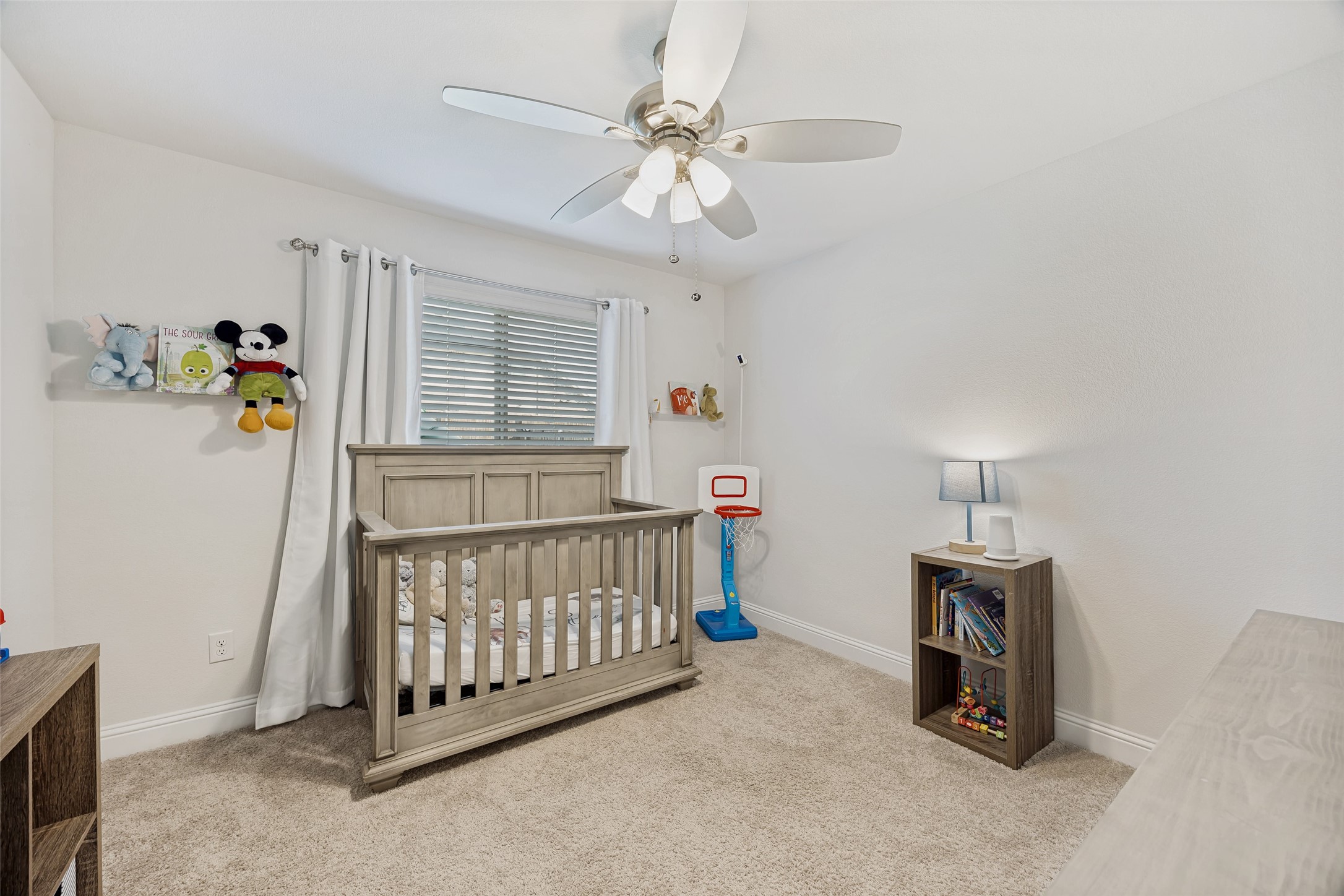 1317 Sumner Street Aubrey TX 76227