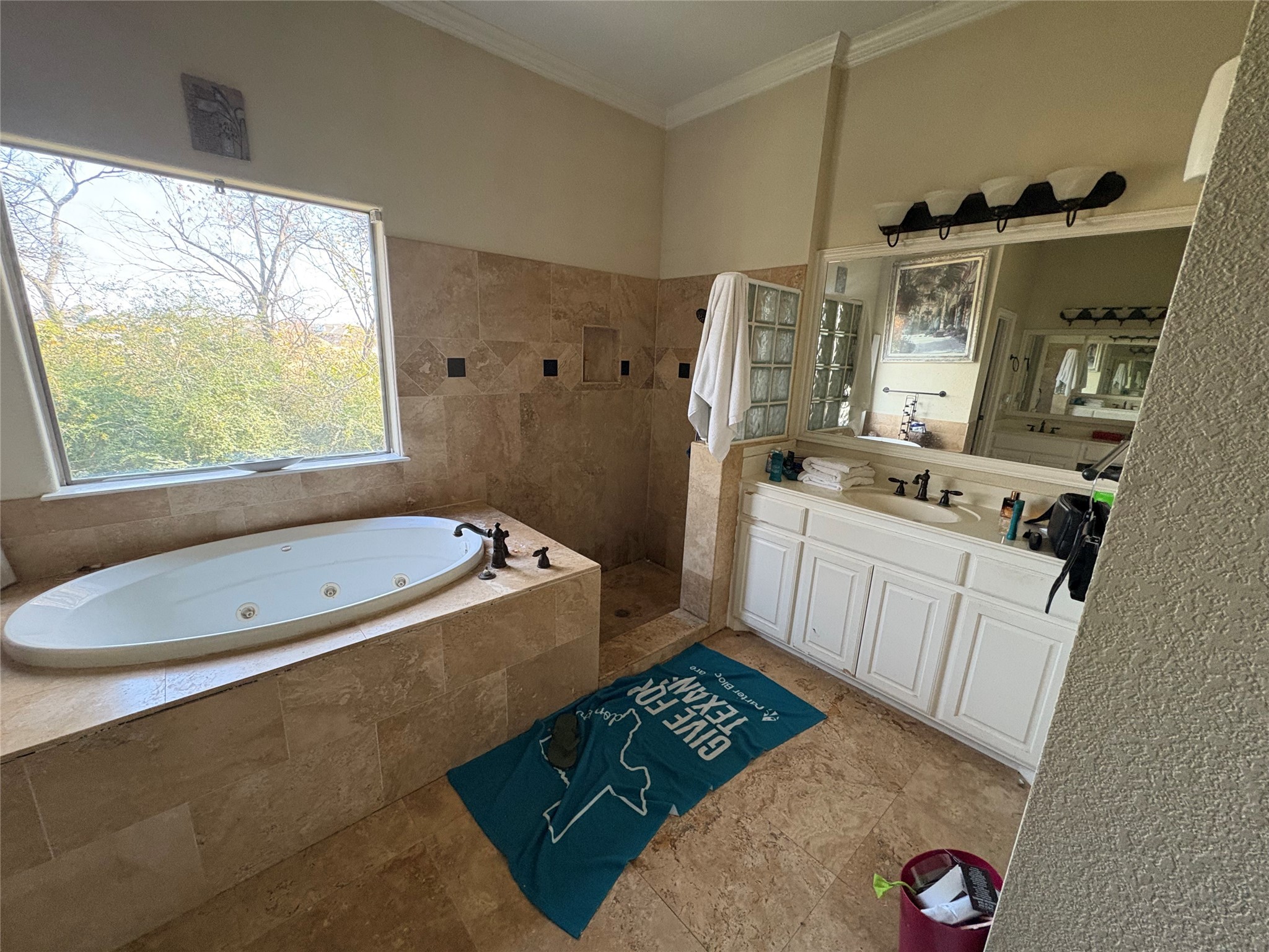 709 Timberview Court N Fort Worth TX 76112