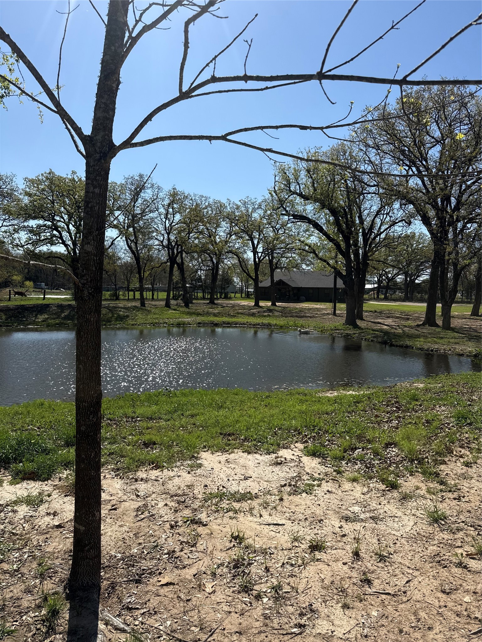 900 Vz County Road 3609 Edgewood TX 75117