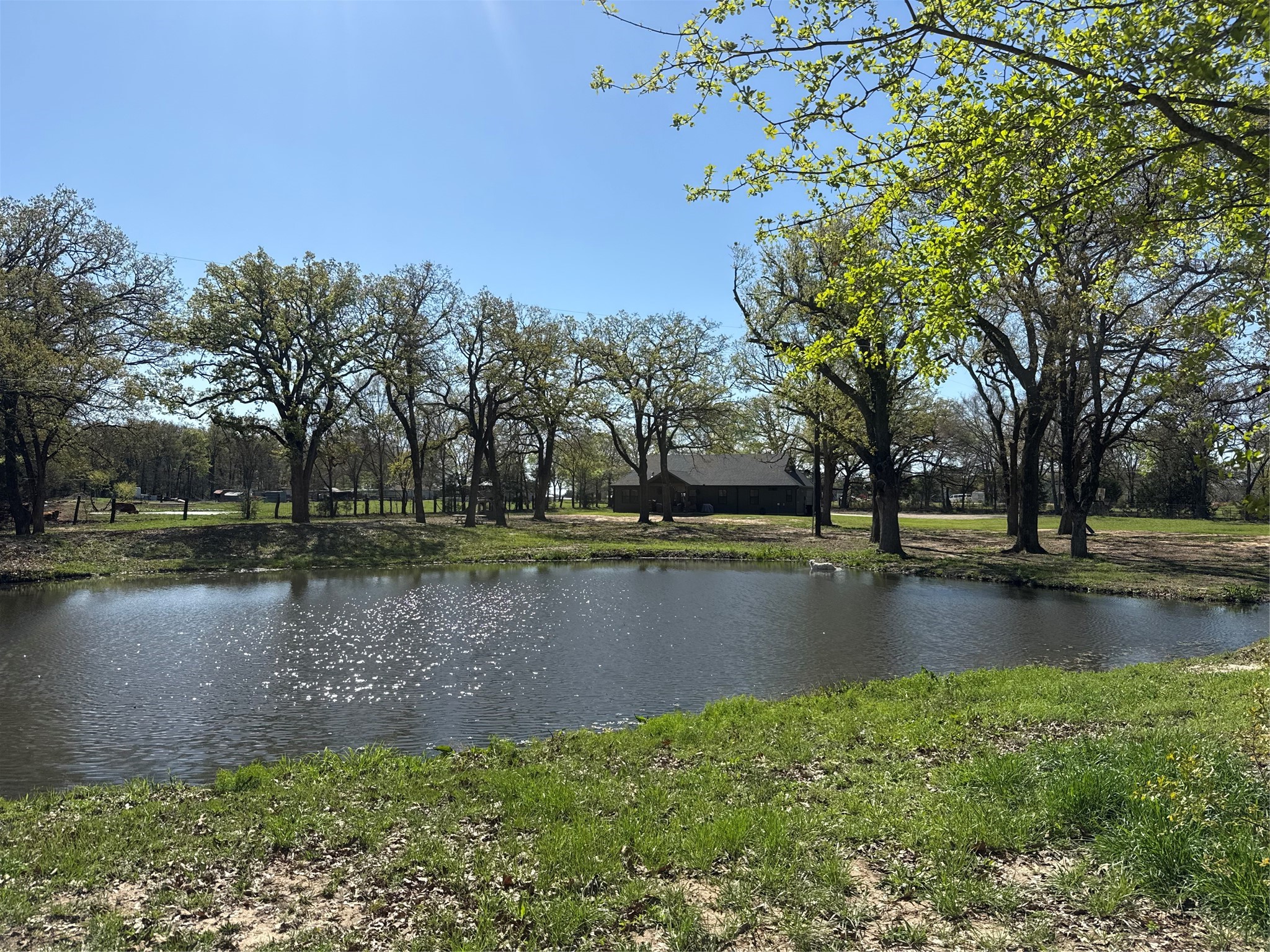900 Vz County Road 3609 Edgewood TX 75117