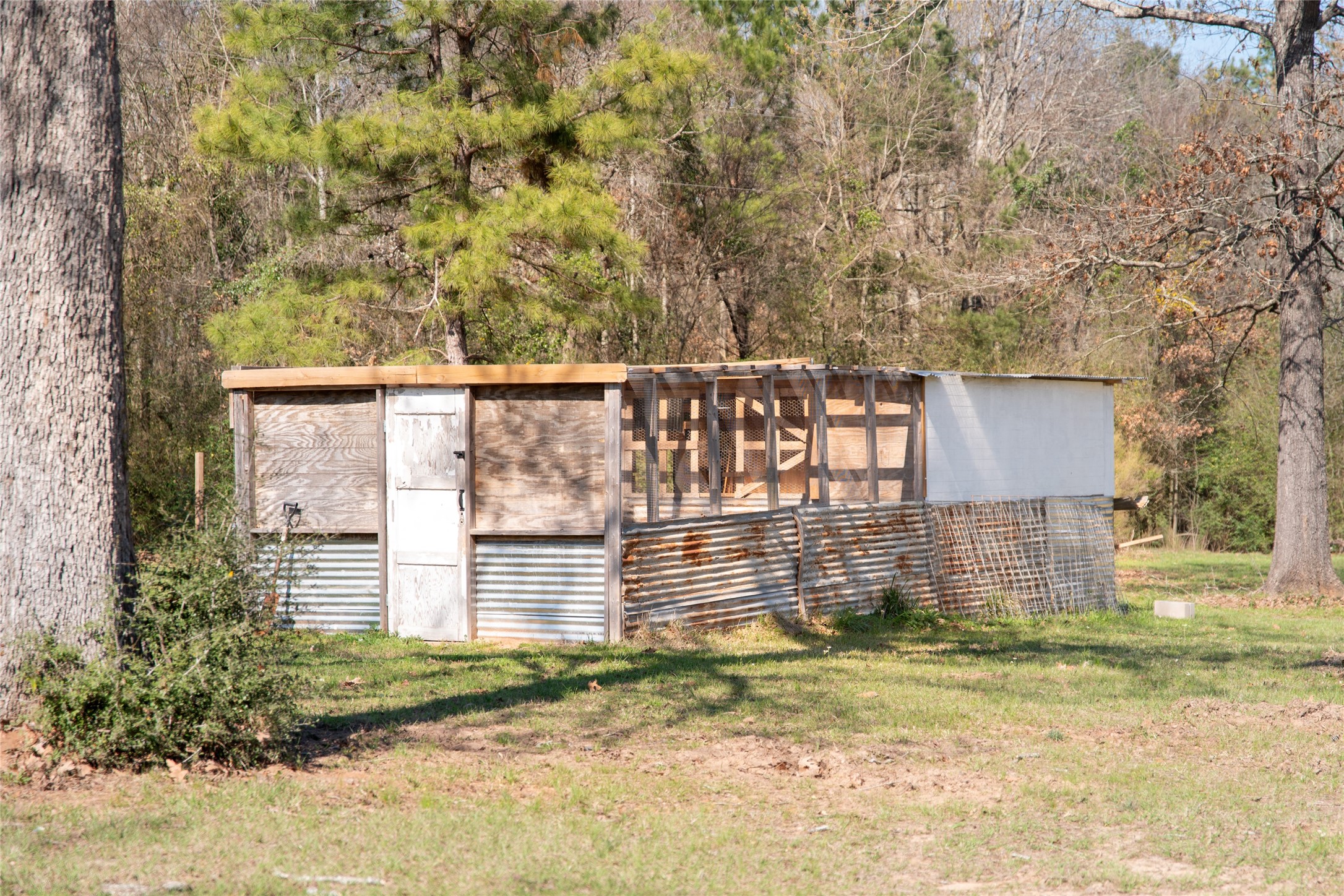 5215 State Highway 7 E Center TX 75935