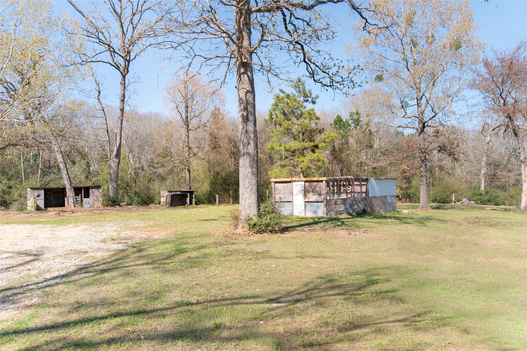 5215 State Highway 7 E Center TX 75935