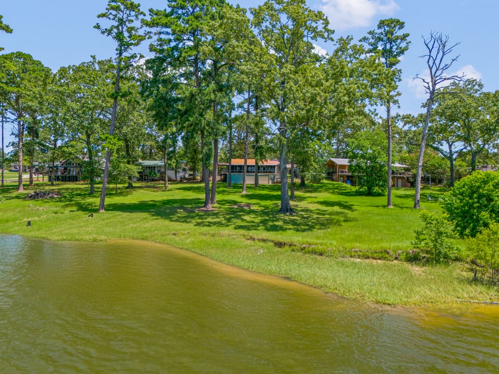 263 Crestwood Loop Avinger TX 75630