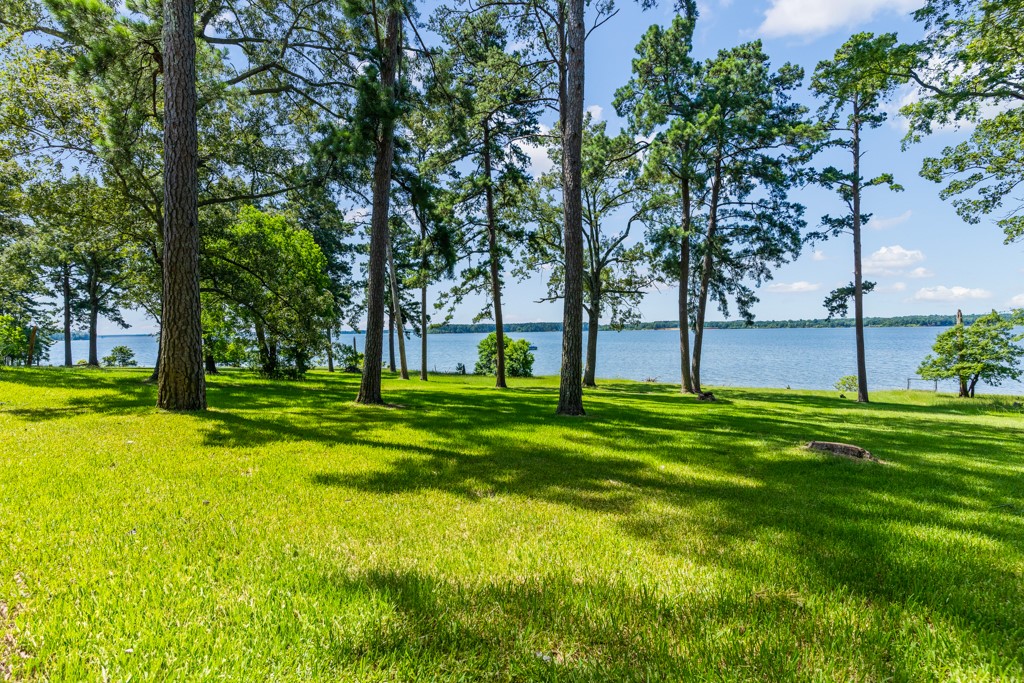 263 Crestwood Loop Avinger TX 75630