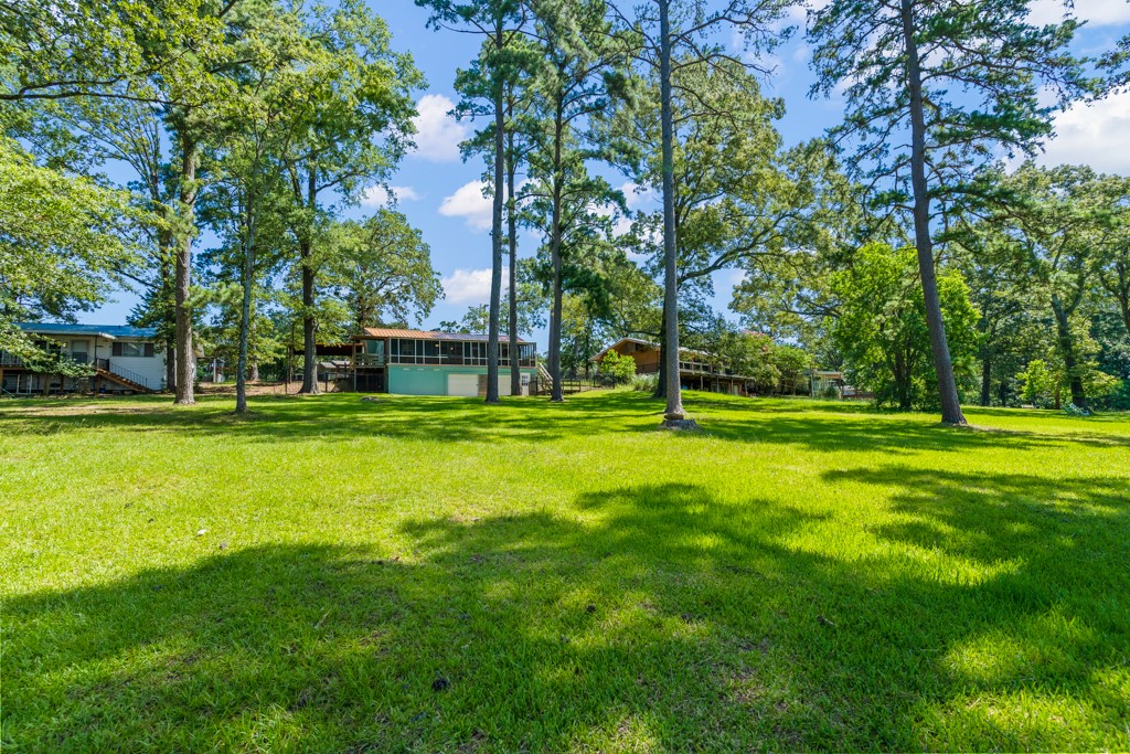 263 Crestwood Loop Avinger TX 75630