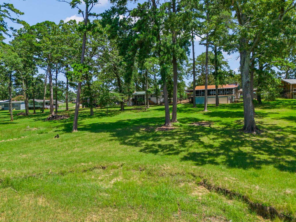 263 Crestwood Loop Avinger TX 75630