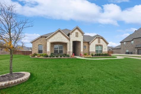 317 Equestrian Drive Waxahachie TX 75165