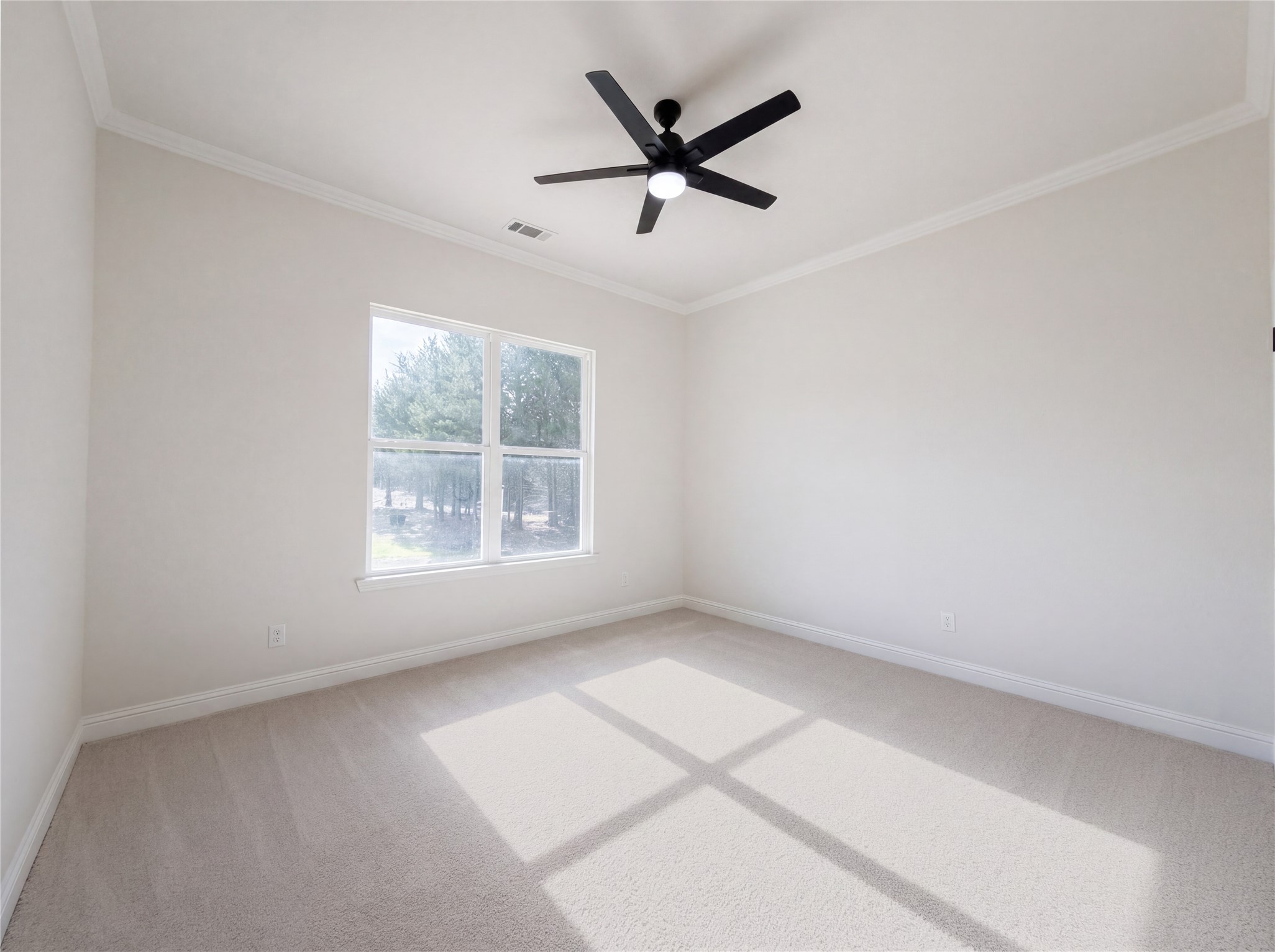 510 Pr 491 Trenton TX 75490