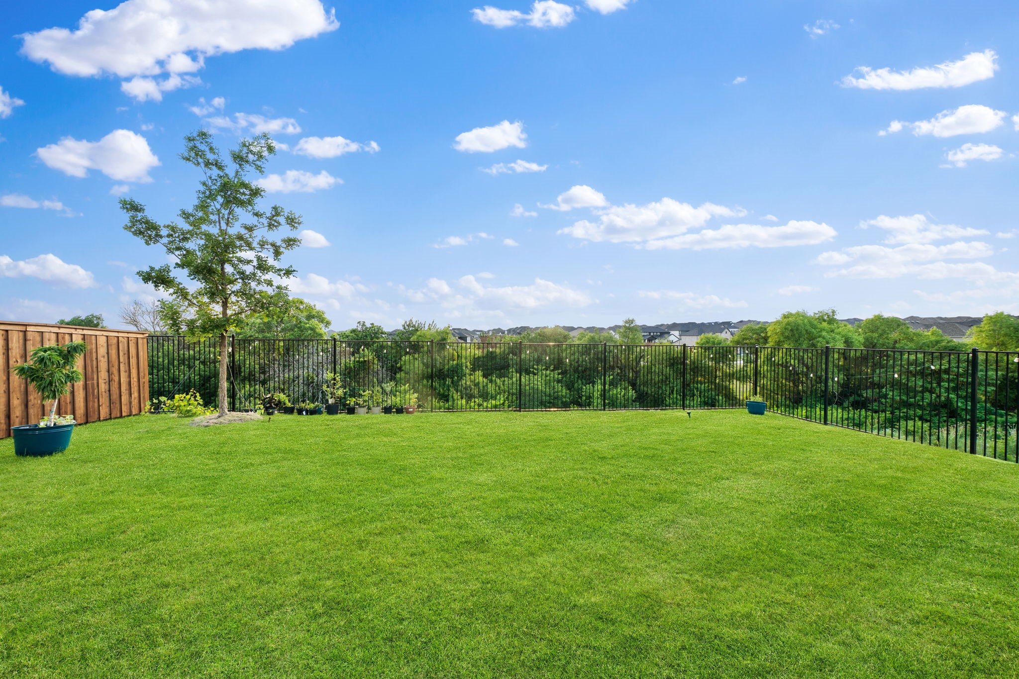 4379 Lost Creek Drive Mckinney TX 75071