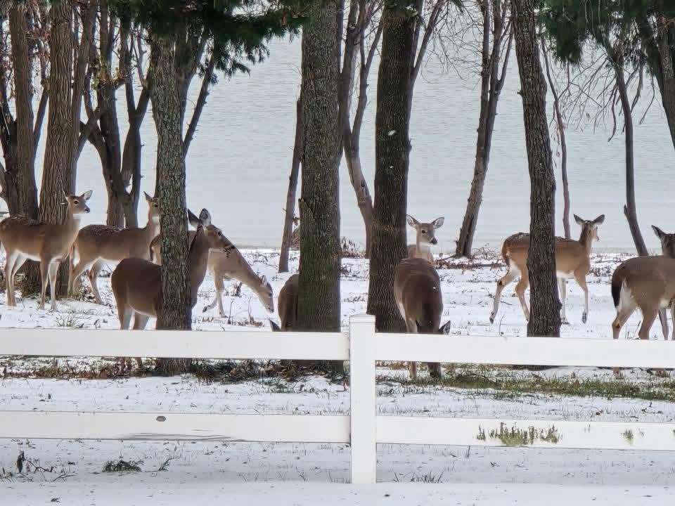 730 Peninsula Bend Shady Shores TX 76208