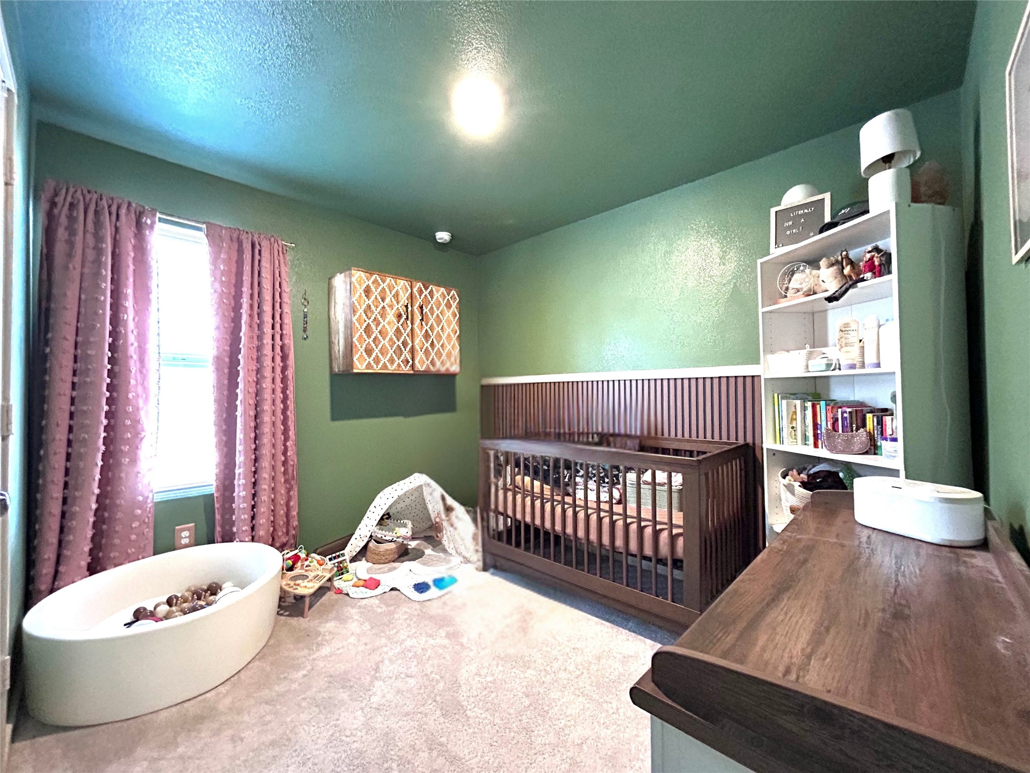 902 Blue Heron Drive Princeton TX 75407