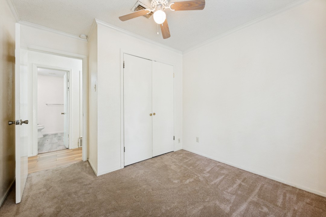 3544 Esplendor Avenue Irving TX 75062