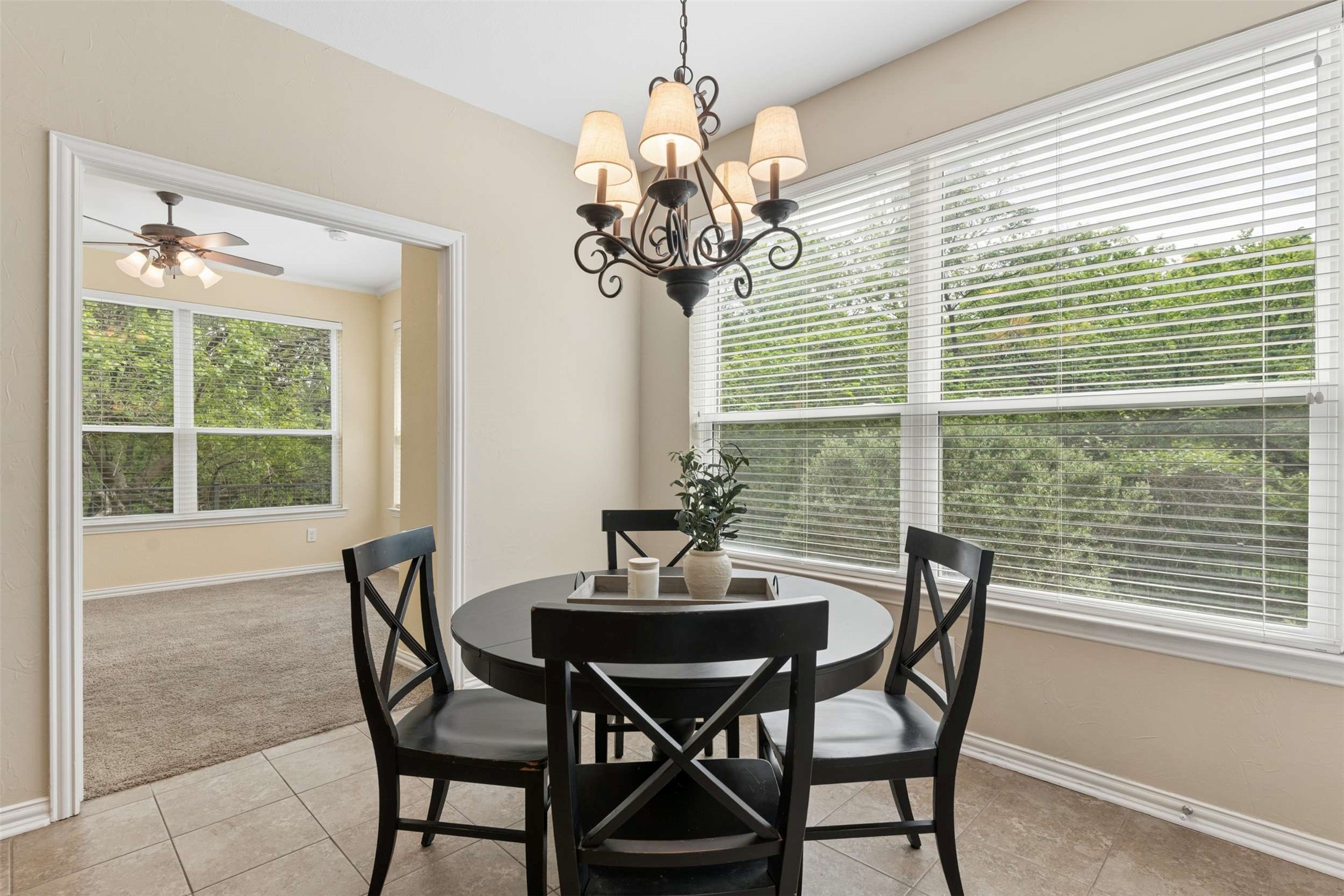 8616 Spectrum Drive Mckinney TX 75072