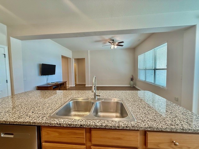 12509 Limestone Court Denton TX 76207