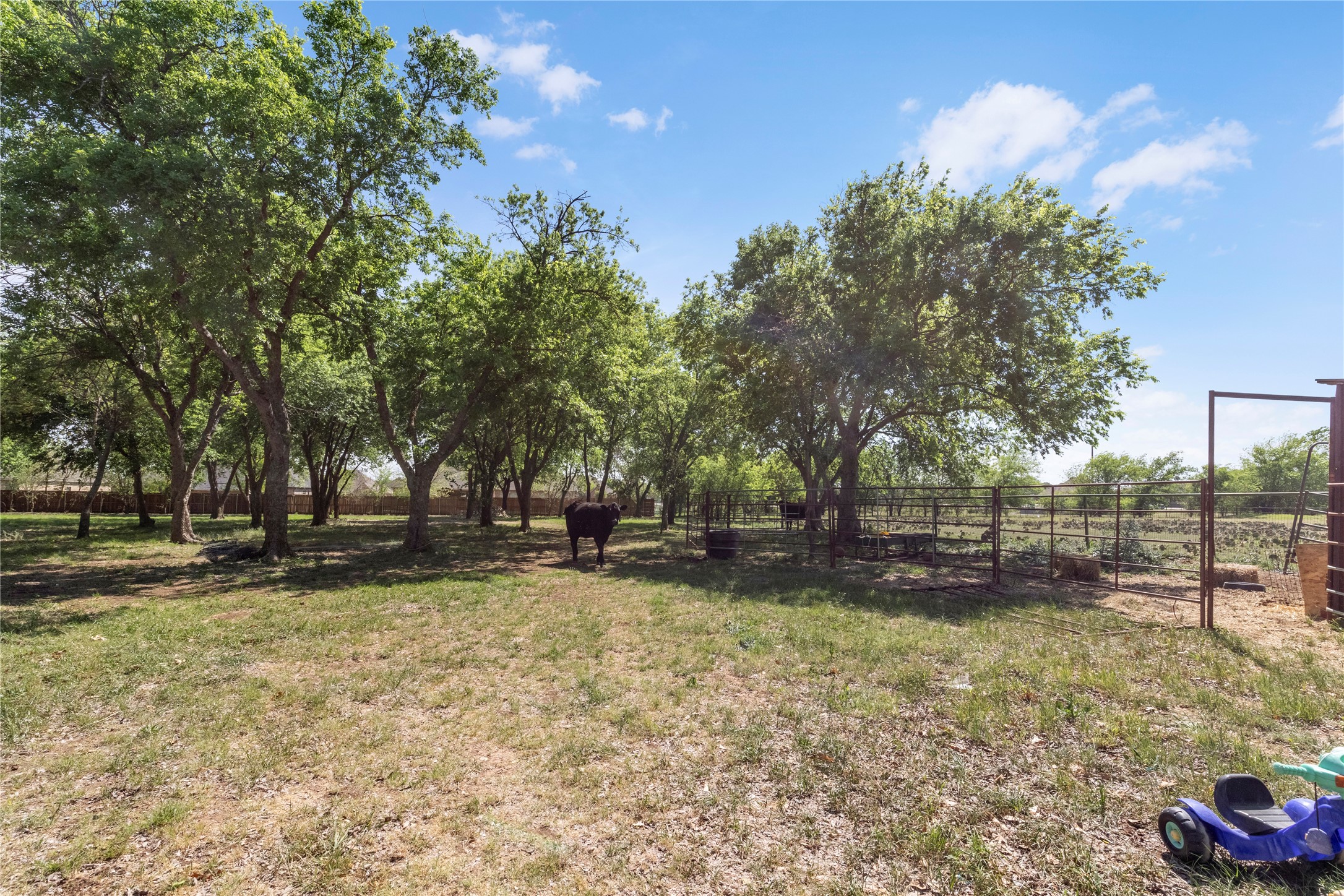 1131 Boaz Road Fort Worth TX 76052
