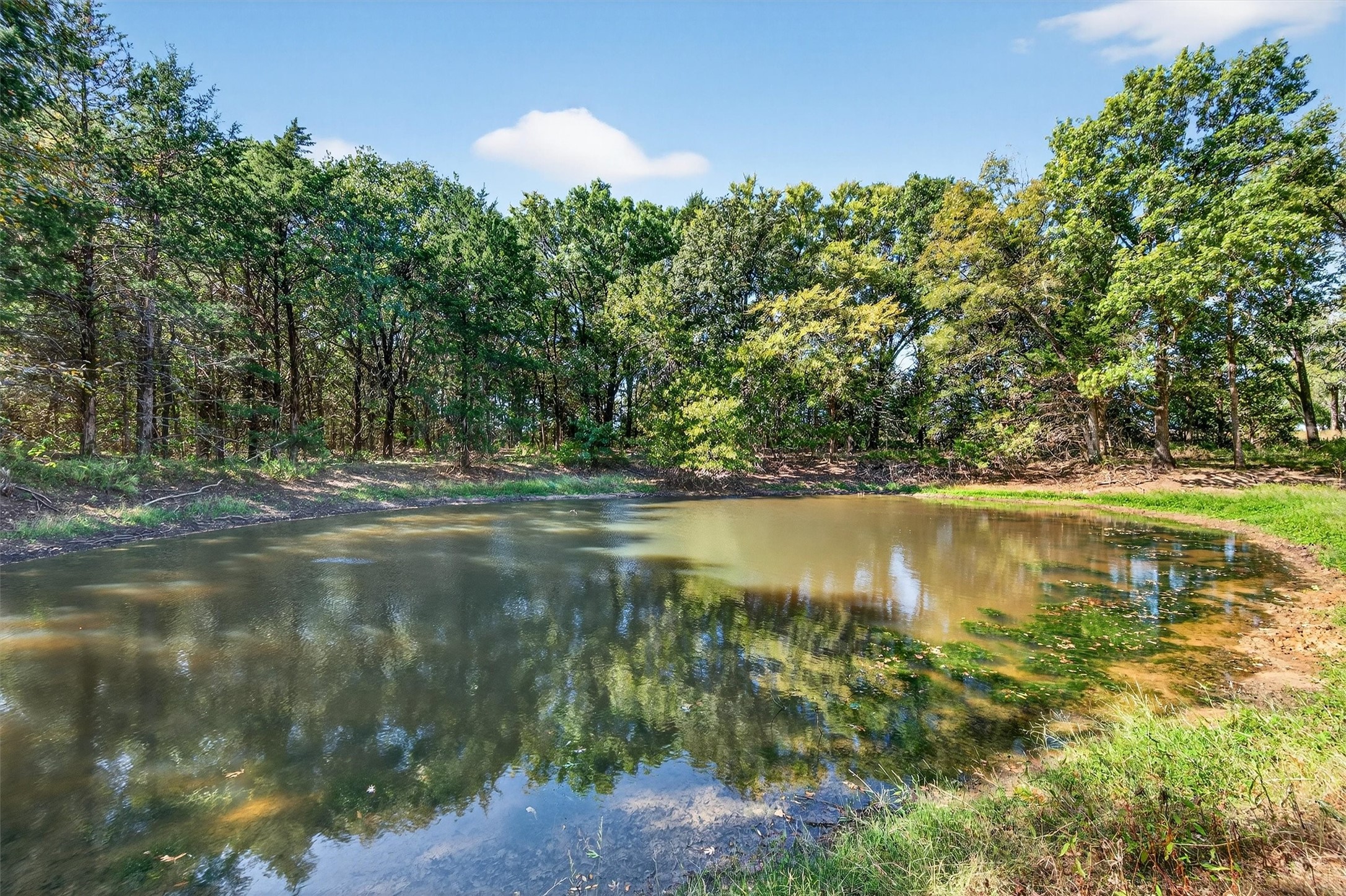 186 Martin Lane Sadler TX 76264